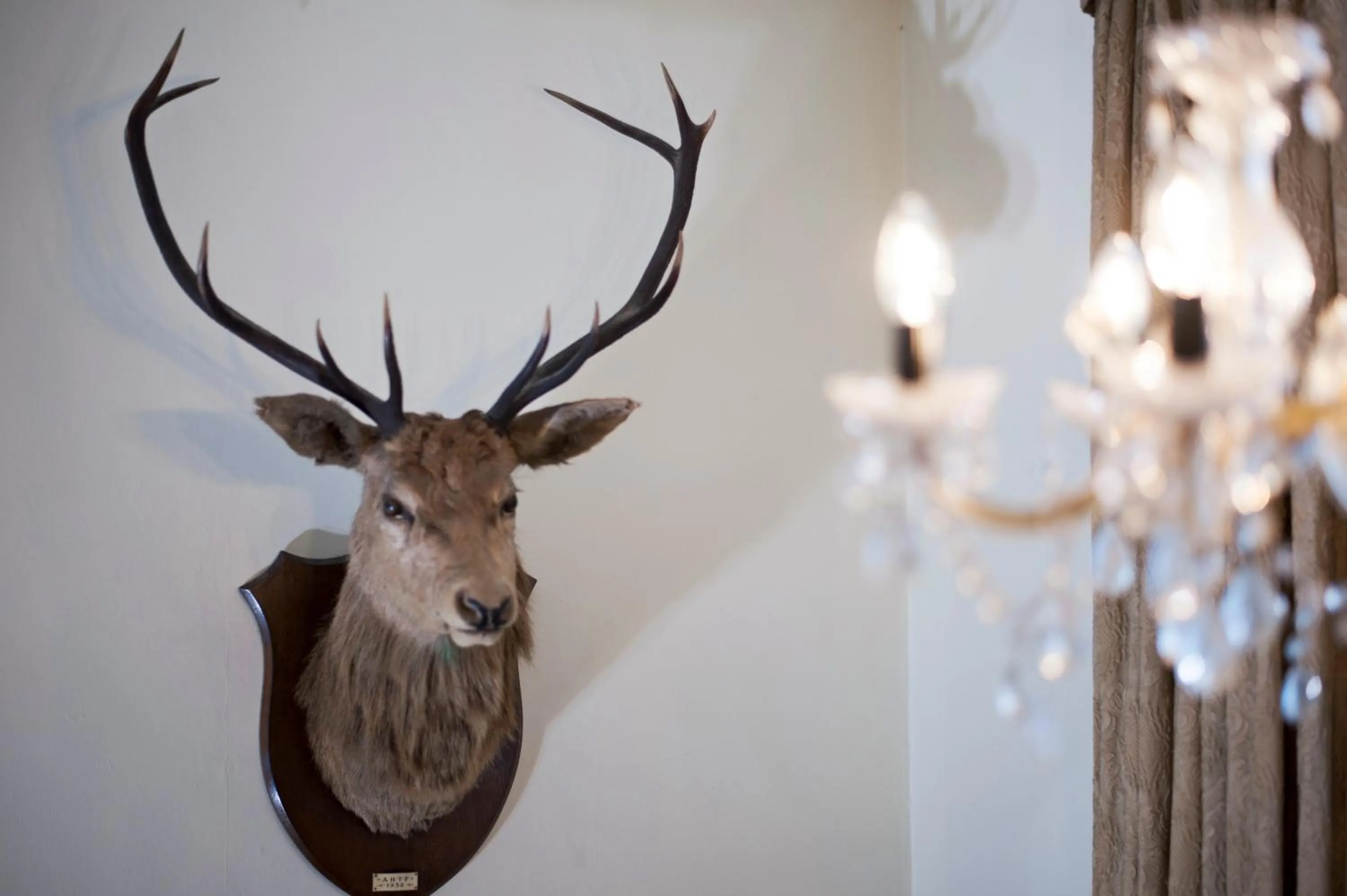 Decorative detail in Nethybridge Hotel