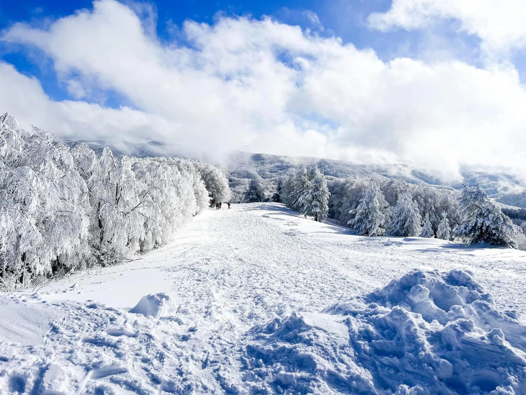 Skiing in Hotel Camigliatello