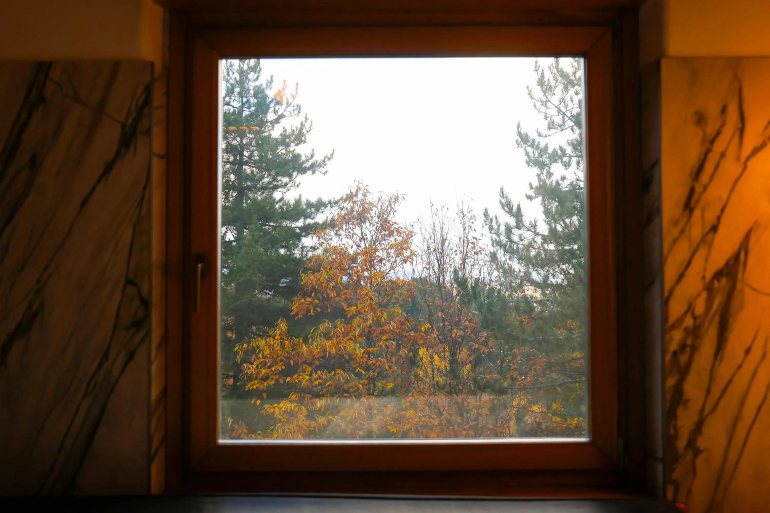 Natural landscape in Hotel Camigliatello