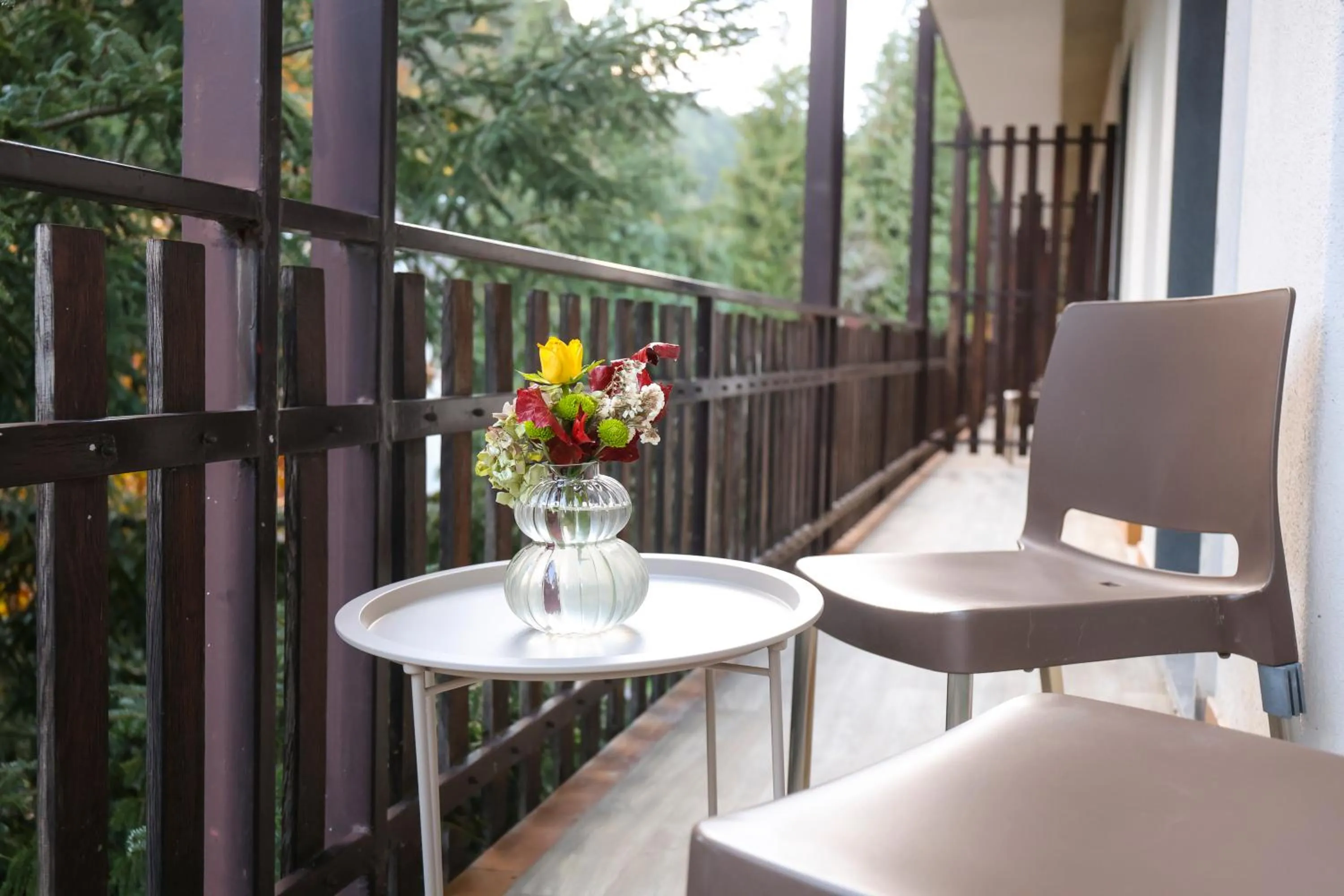 Balcony/Terrace in Hotel Camigliatello