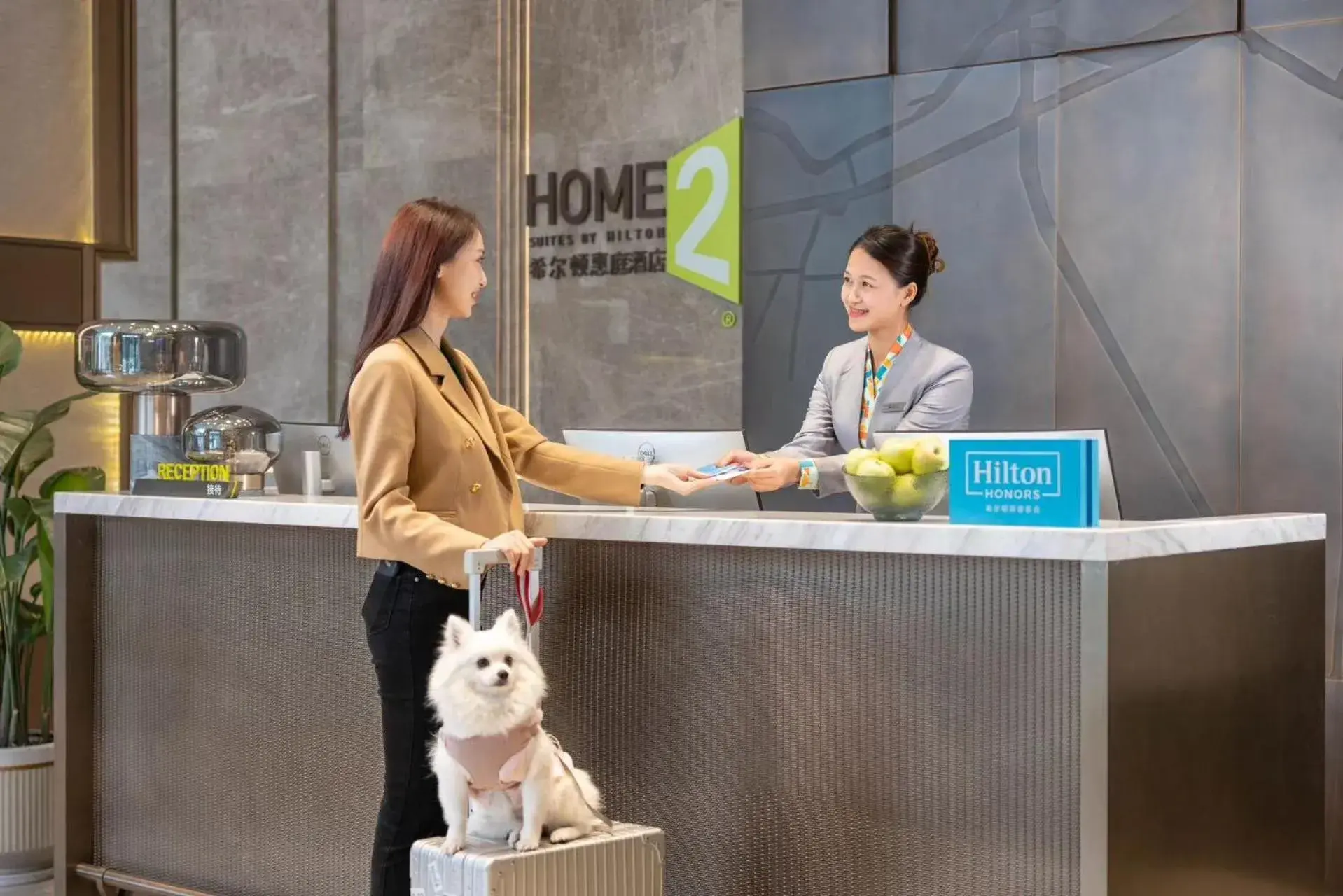 Lobby or reception in Home2 Suite by Hilton Guangzhou Conghua Lobby or reception in Home2 Suite by Hilton Guangzhou Conghua