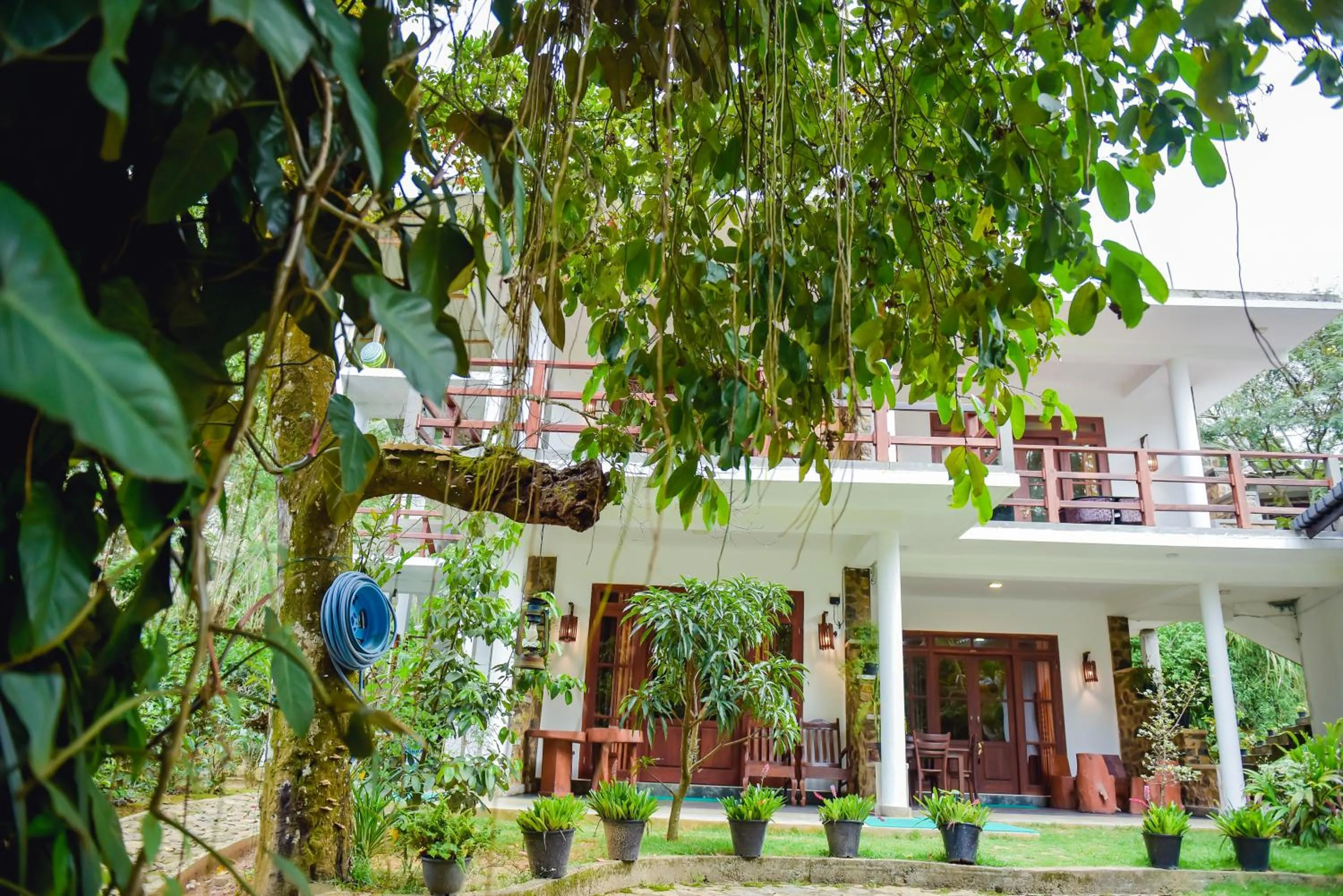 The Residence Ella