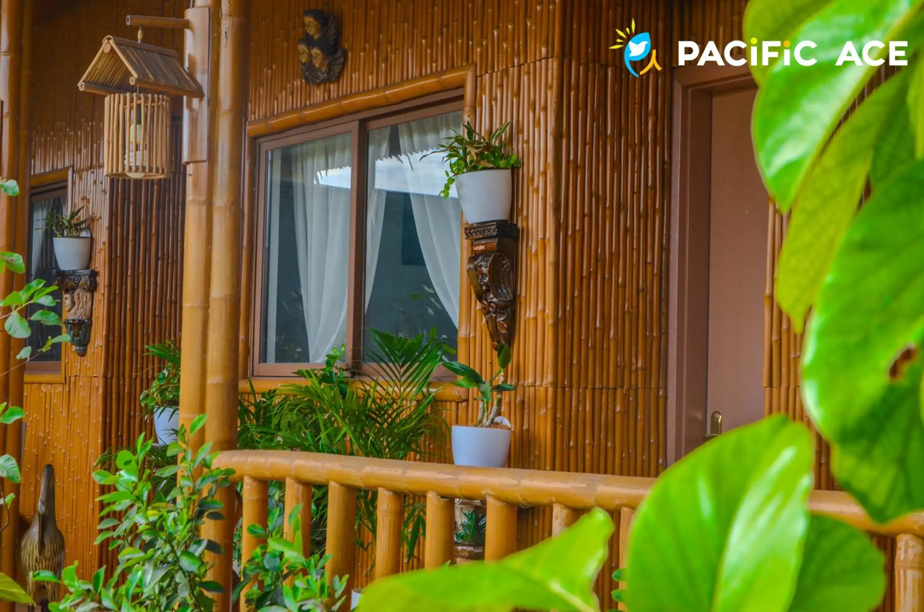 Garden view in Sky Garden Homestay Garden view in Sky Garden Homestay