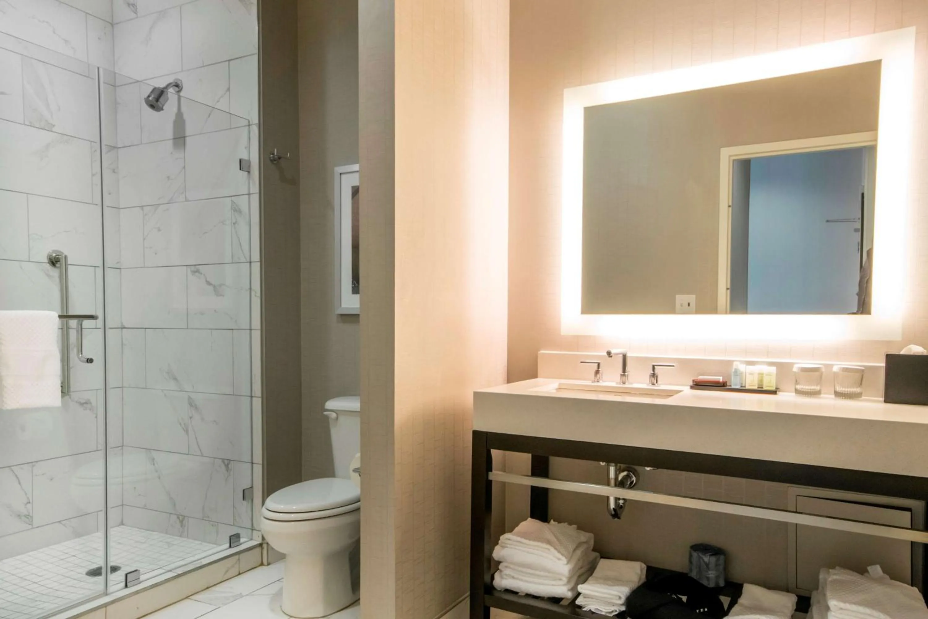 Toilet in Embassy Suites Louisville Downtown