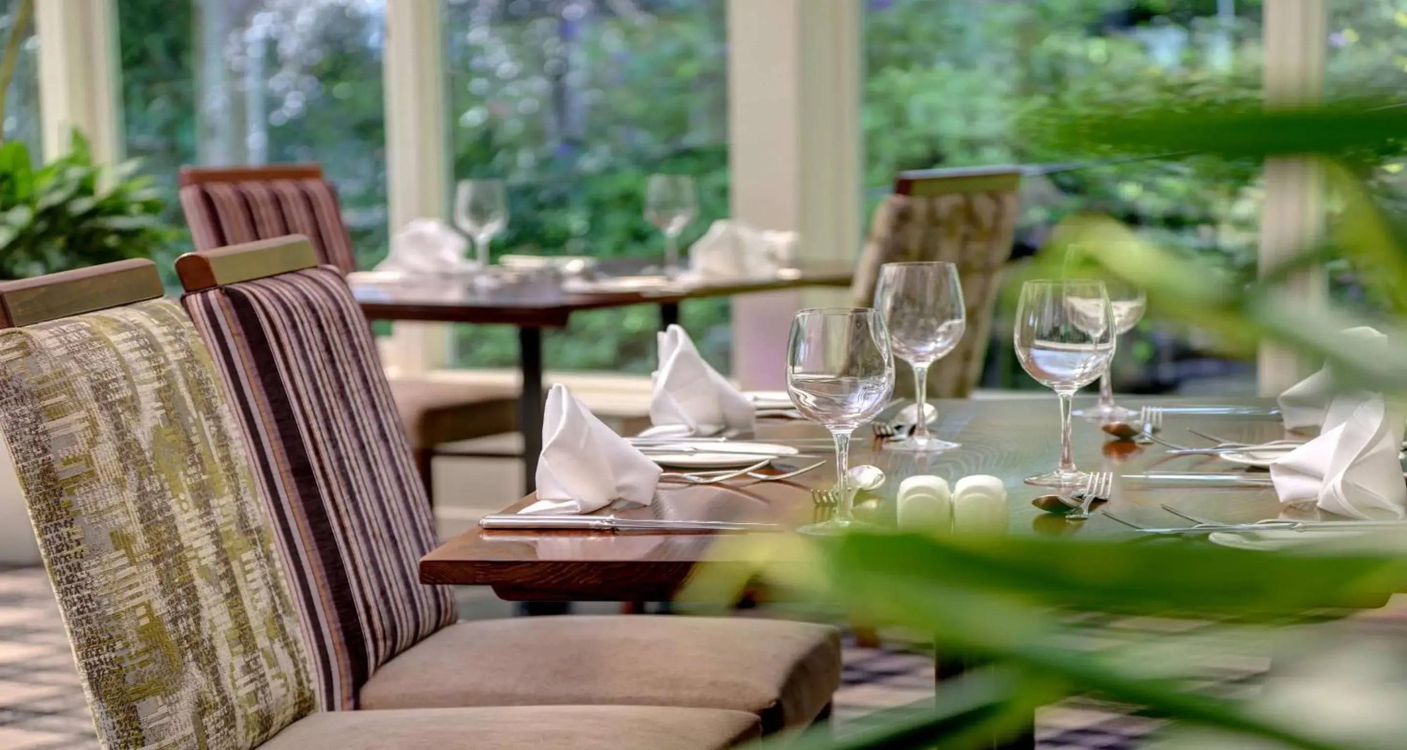 Restaurant/places to eat in B/W Plus Buxton Lee Wood Hotel Restaurant/places to eat in B/W Plus Buxton Lee Wood Hotel