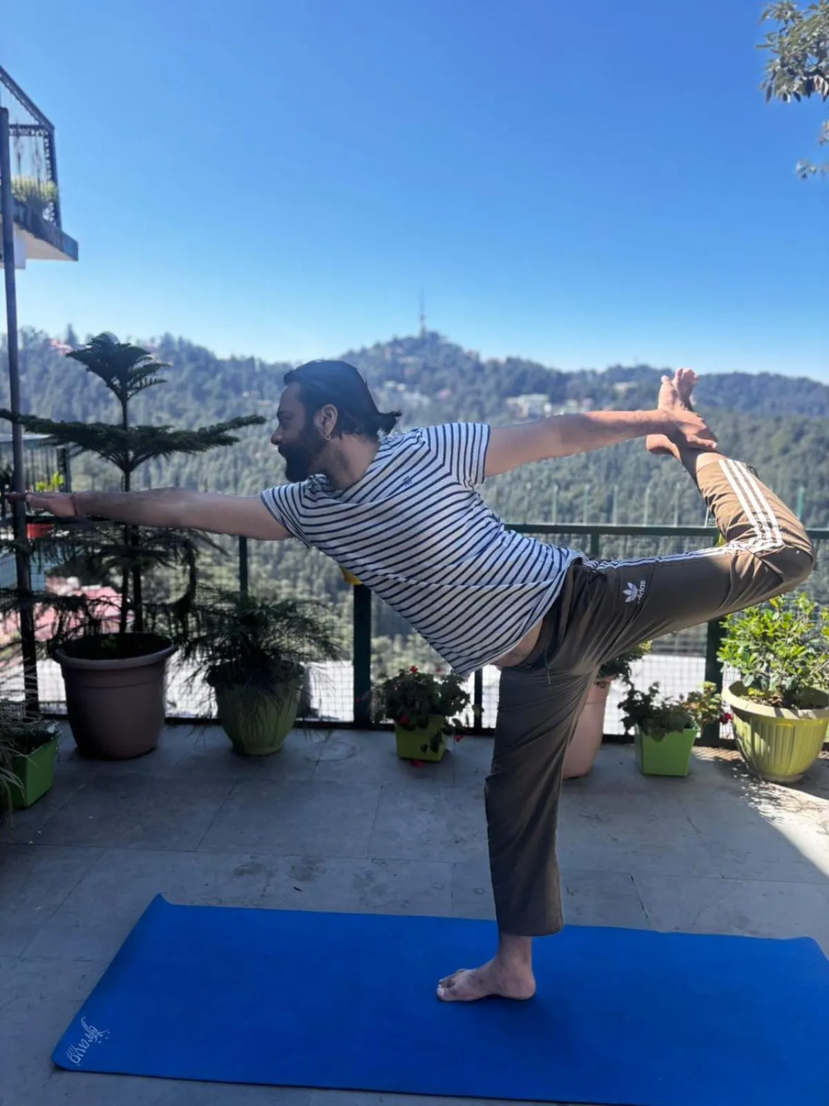 Garden in ZuZu Hostels