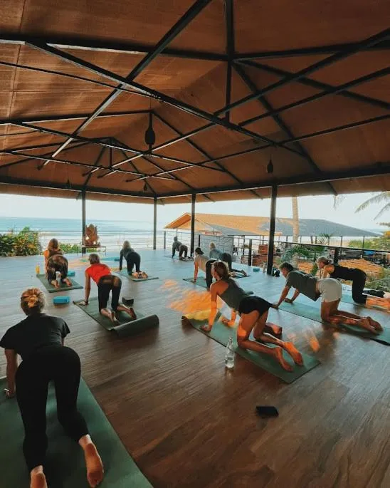 Activities in Anahata Retreat Beach Front Ashwem Goa