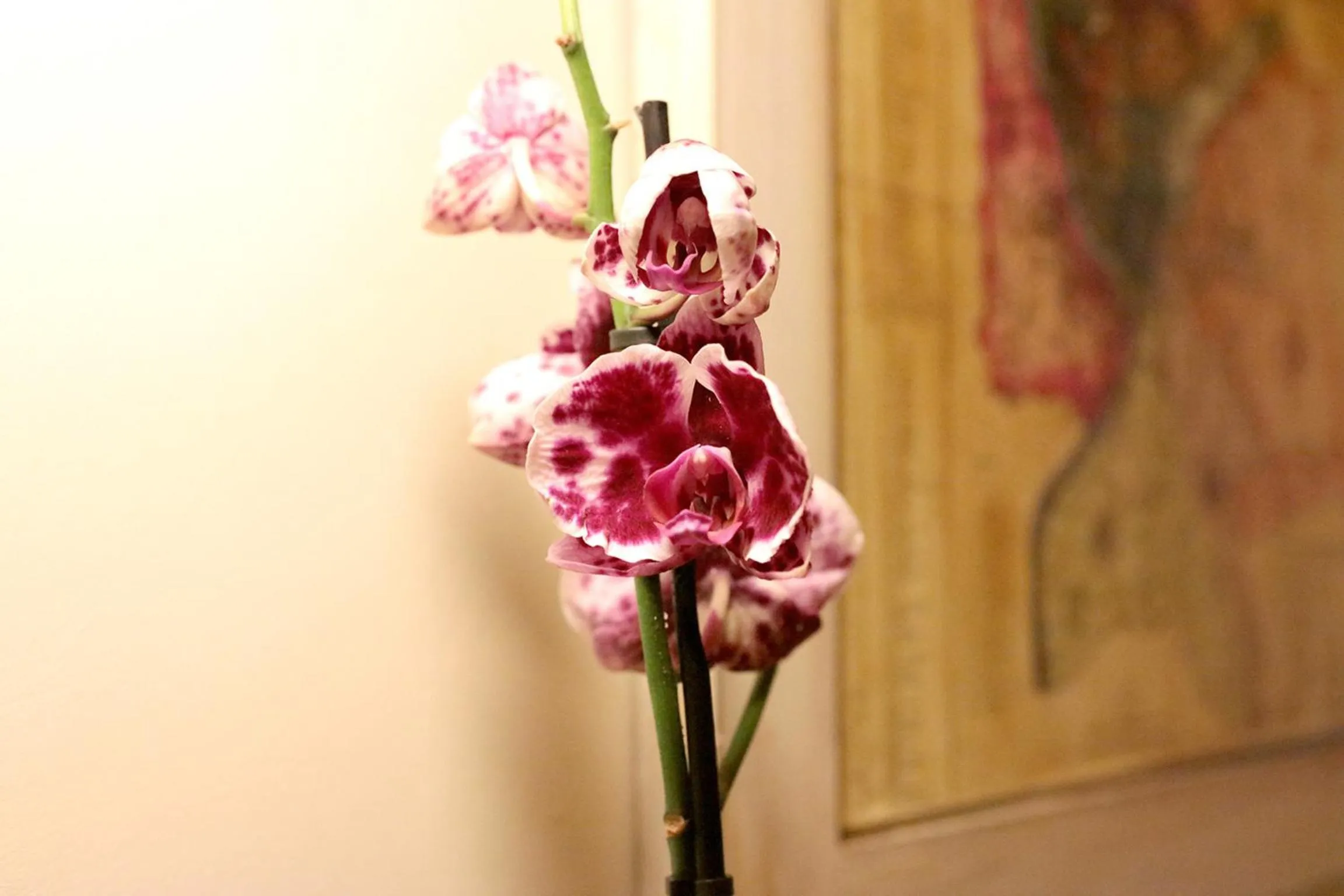 Decorative detail in Trastevere Dream House