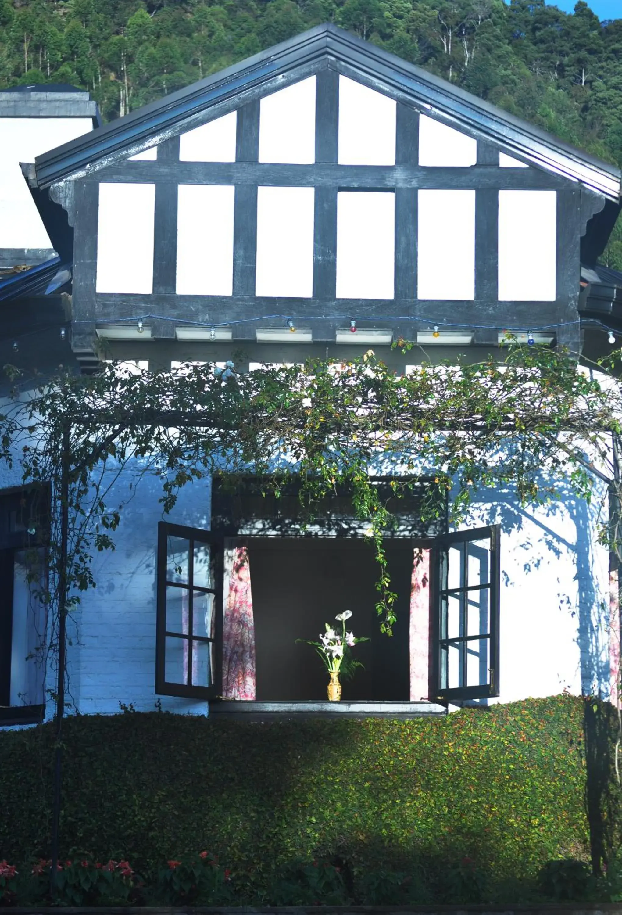 Property building in Hill Cottage Property building in Hill Cottage
