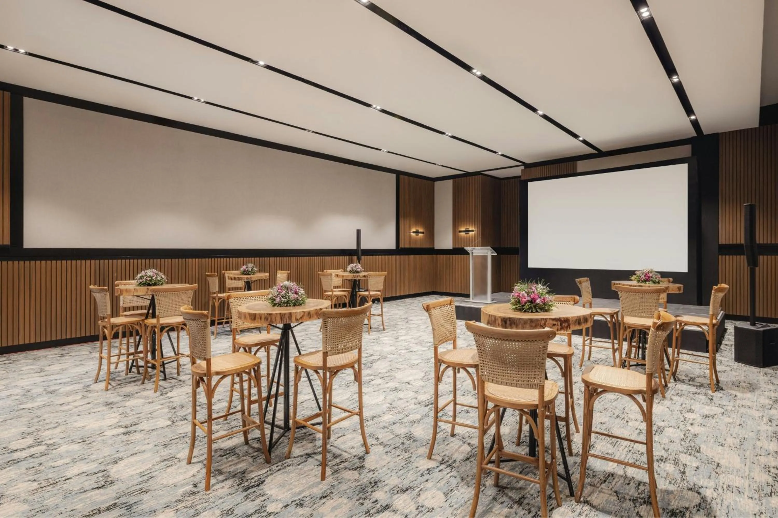 Meeting/conference room in AC Hotel by Marriott Santiago de los Caballeros