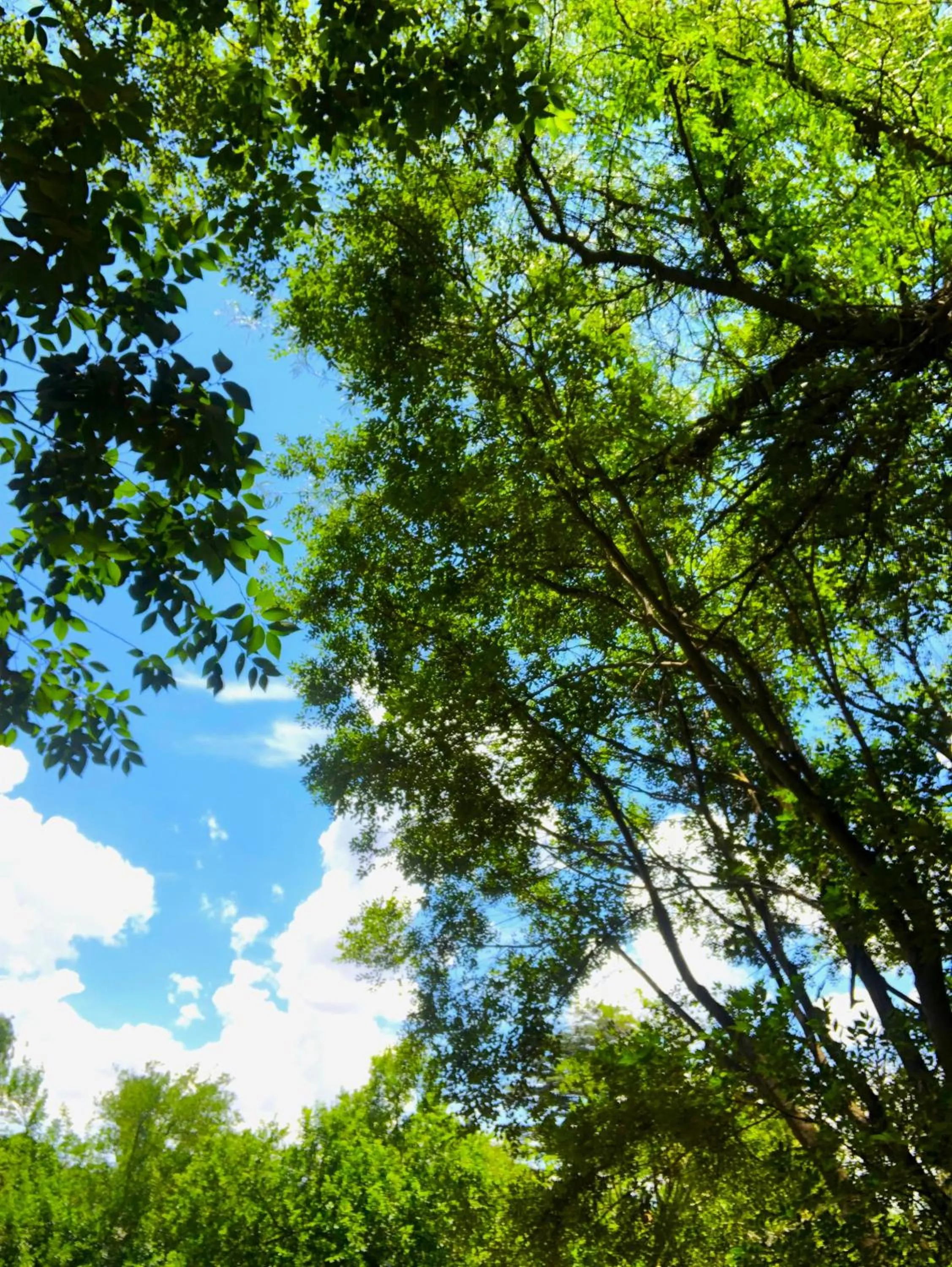 Sand River Guest House