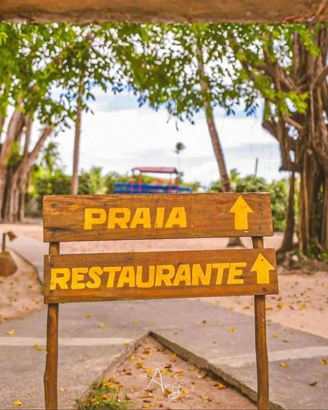Guests in Angá Beach Hotel