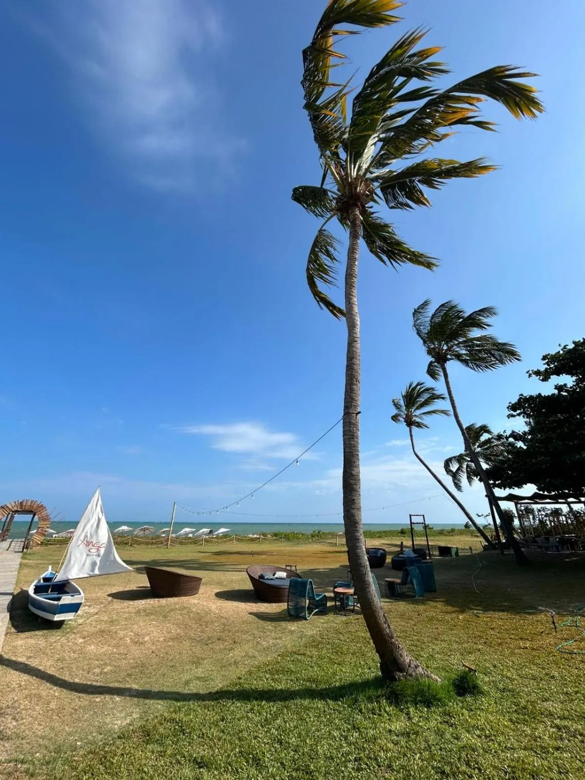 Garden view in Angá Beach Hotel