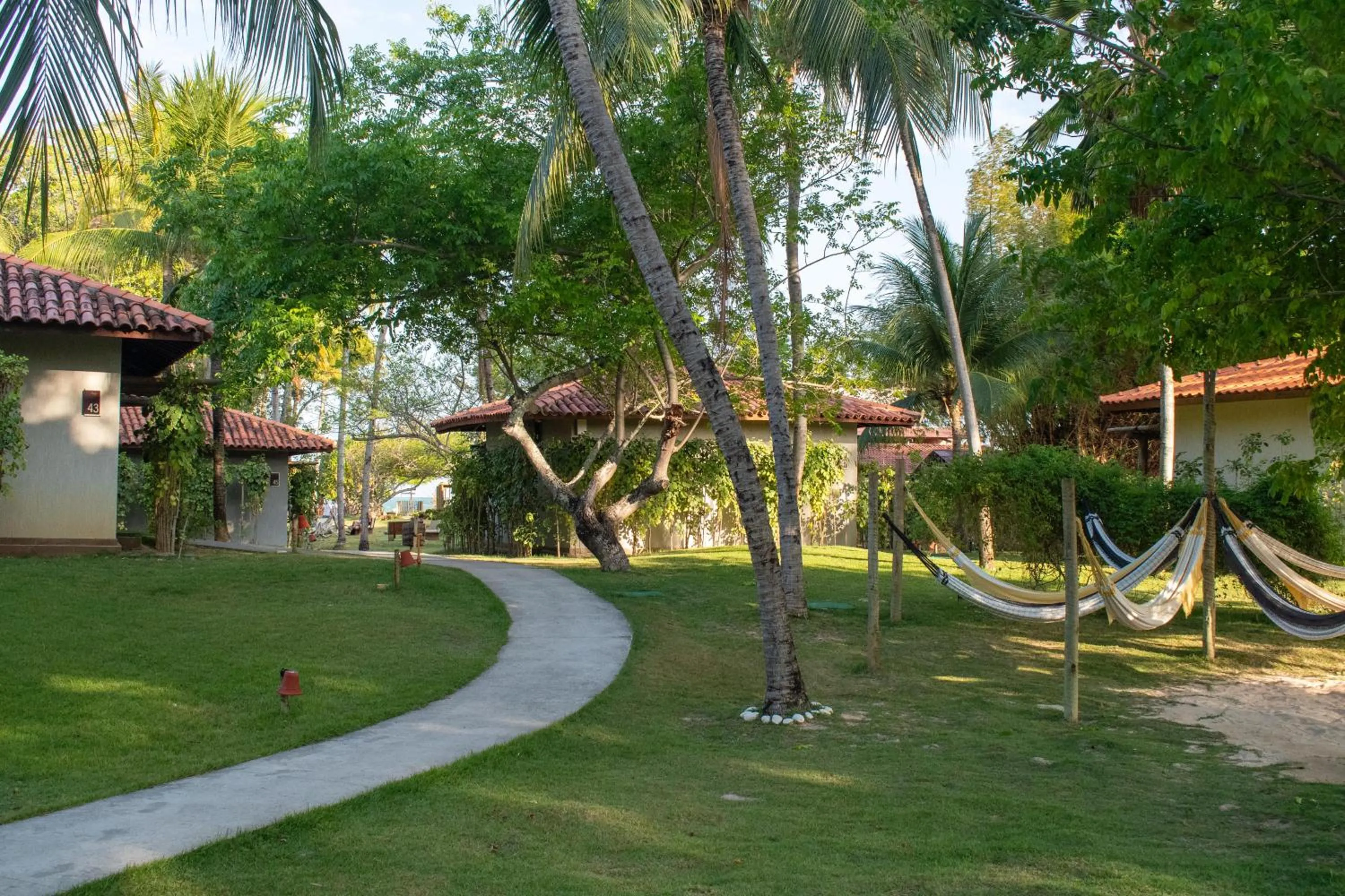 Garden in Angá Beach Hotel
