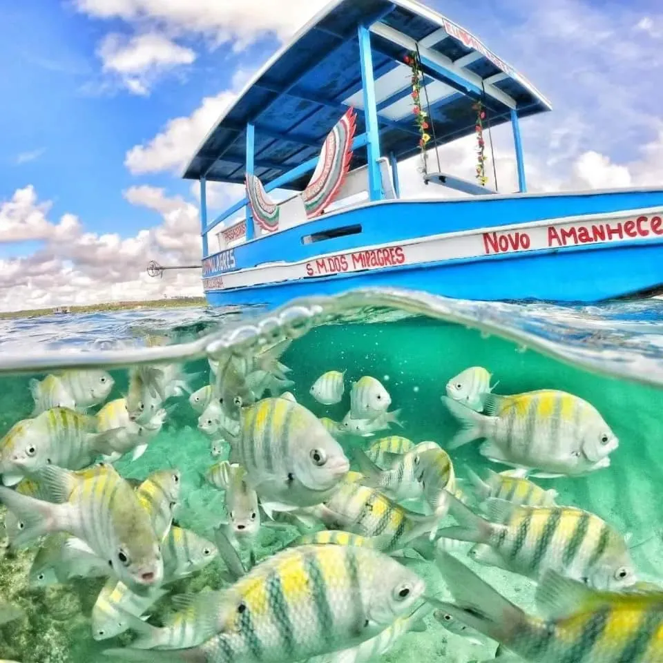 Beach in Angá Beach Hotel