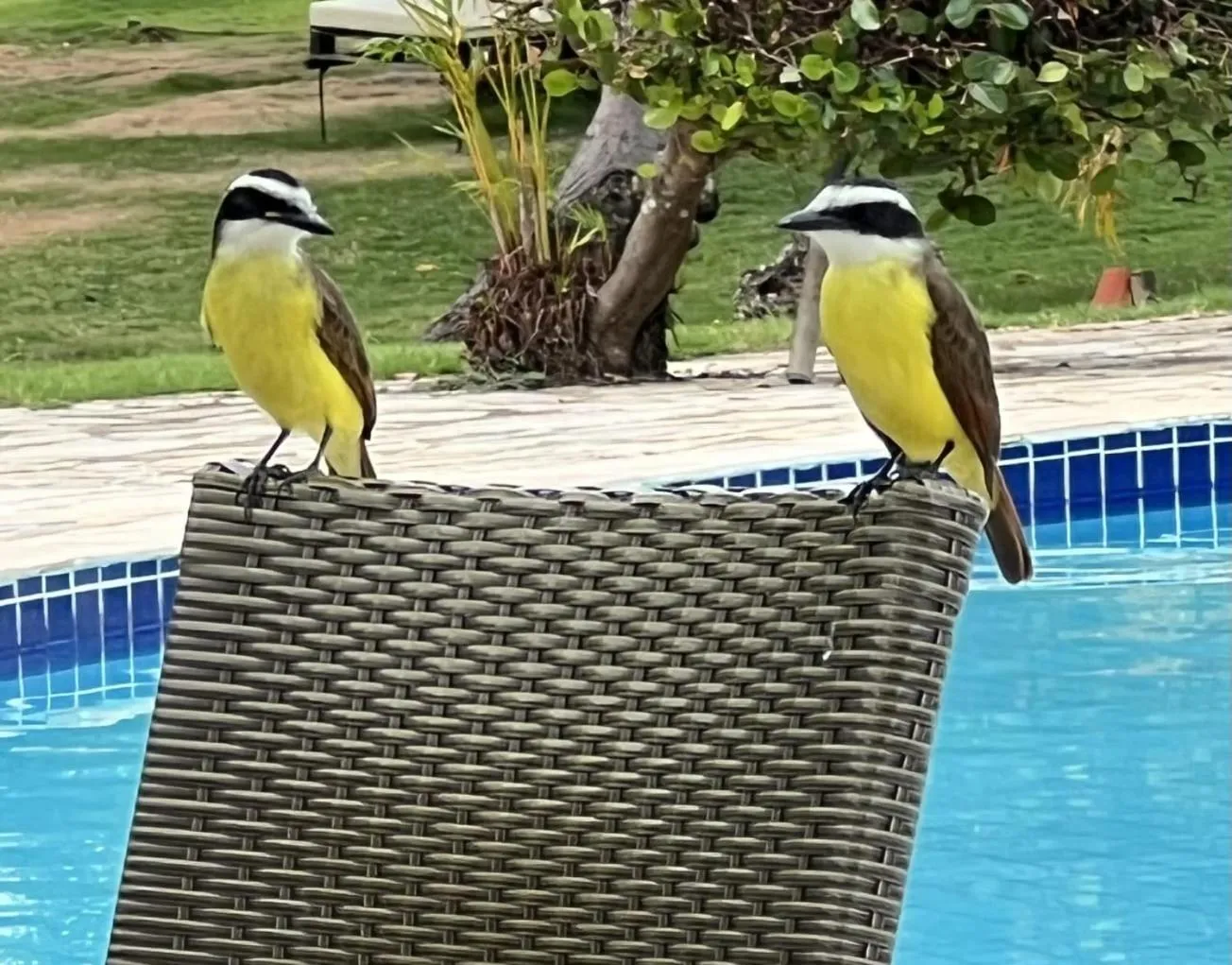 Swimming pool in Angá Beach Hotel