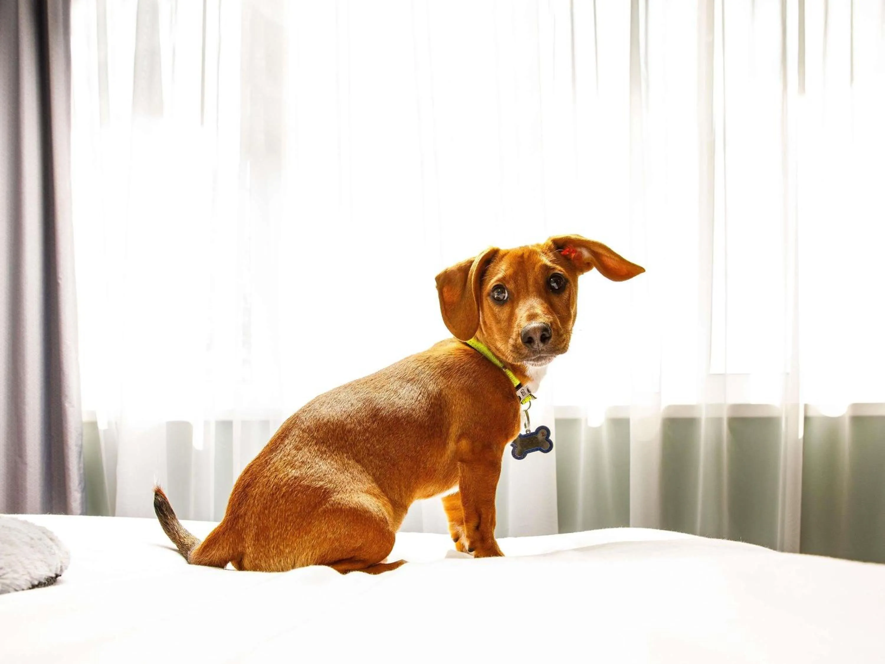 Other in The Harlow Hotel By AccorHotels