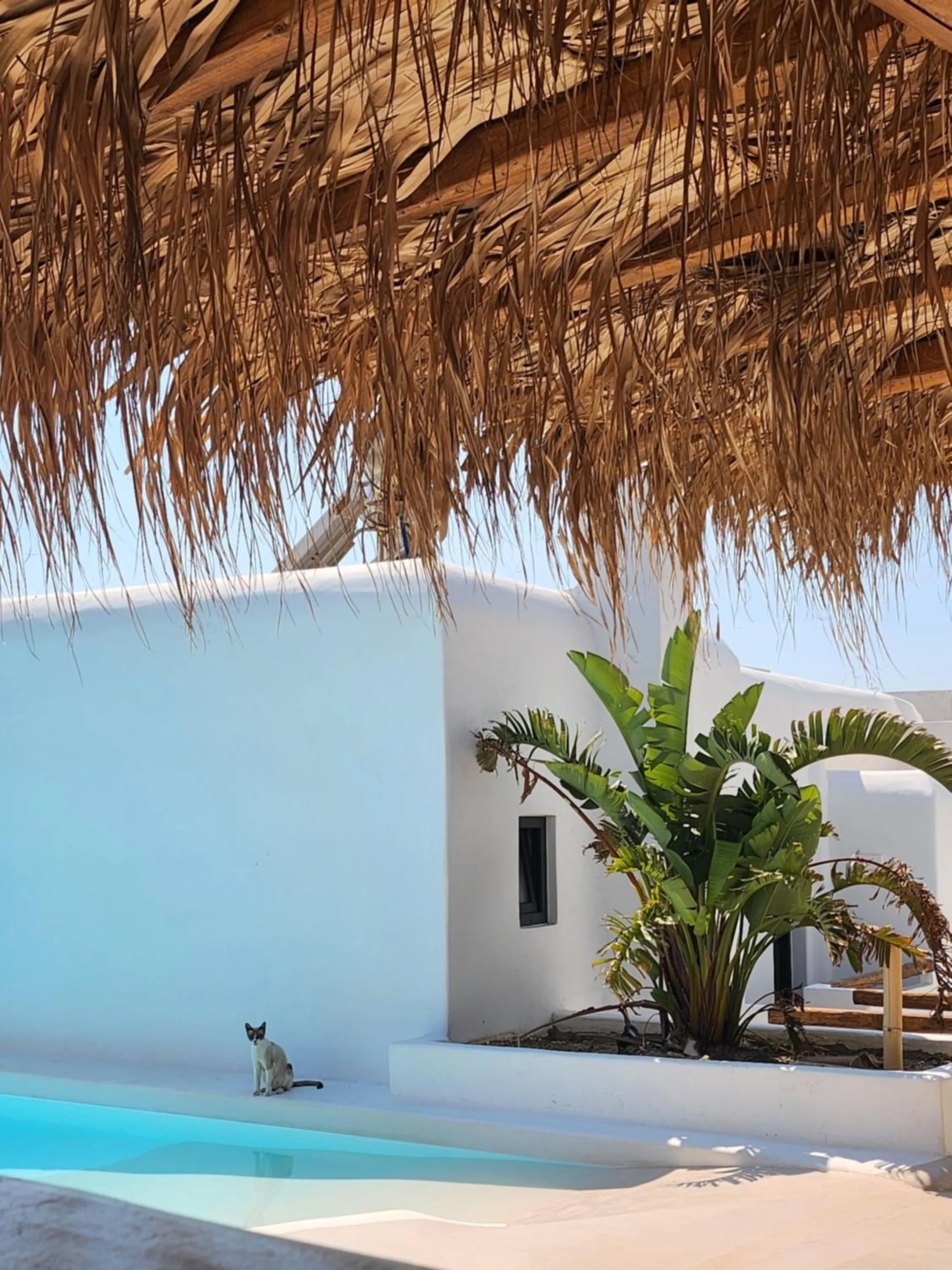 Swimming pool in ELLI TROPiCAL LUXURY SUITES SUNSET-INFINITY POOL- SEA SIDE-NEAR CENTER PARKING