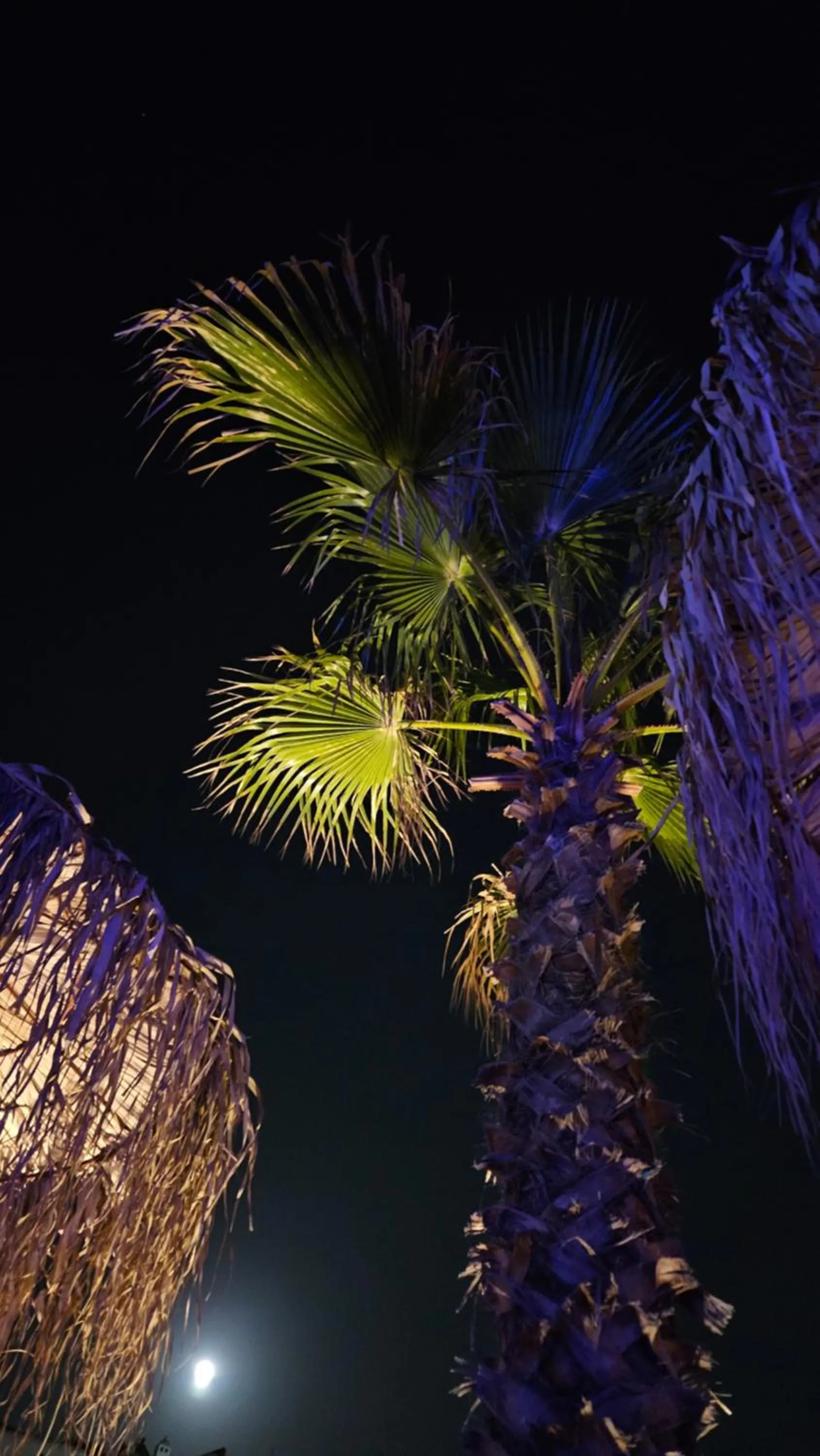 Night in ELLI TROPiCAL LUXURY SUITES SUNSET-INFINITY POOL- SEA SIDE-NEAR CENTER PARKING