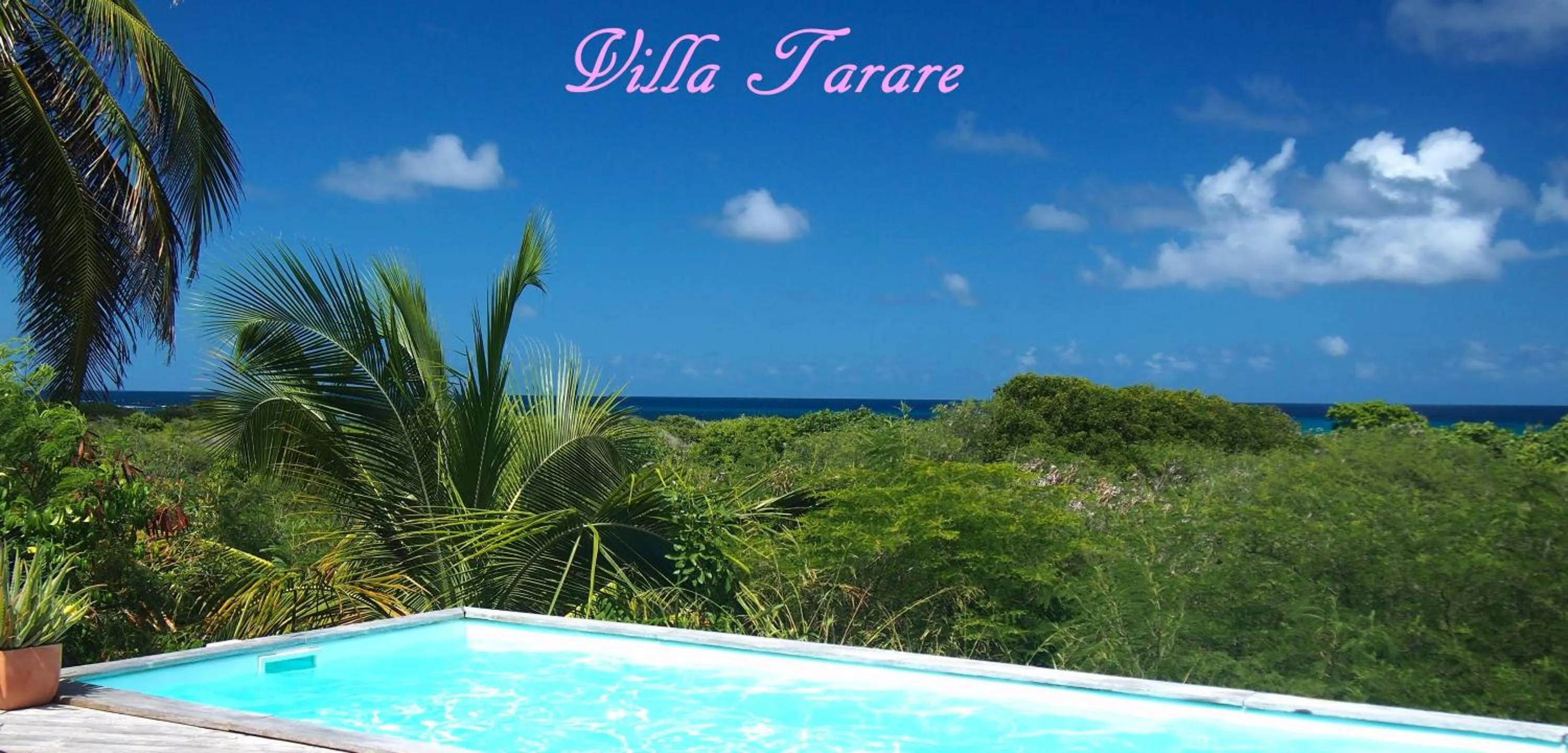 Garden view in Villa Tarare