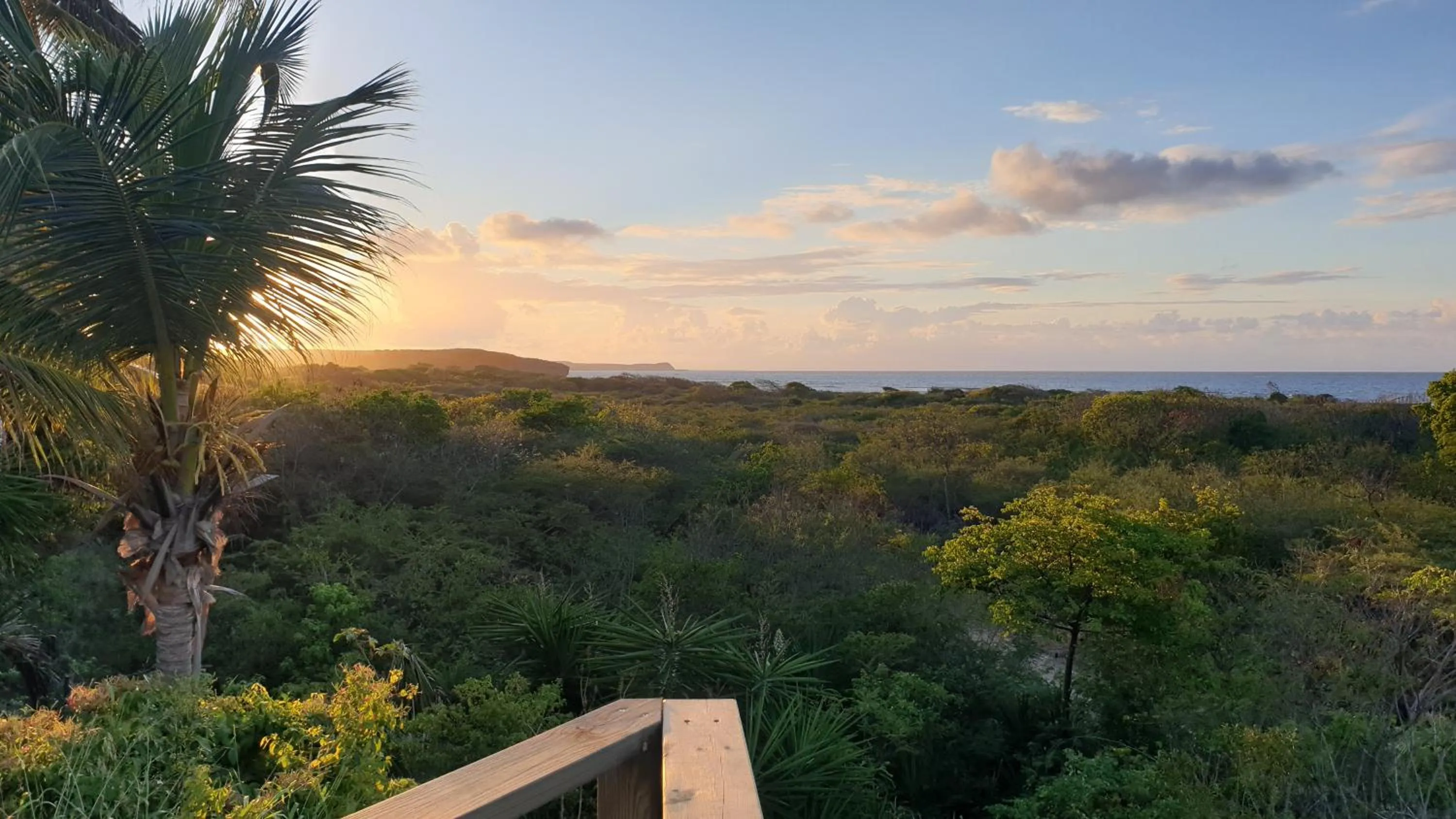 River view in Villa Tarare