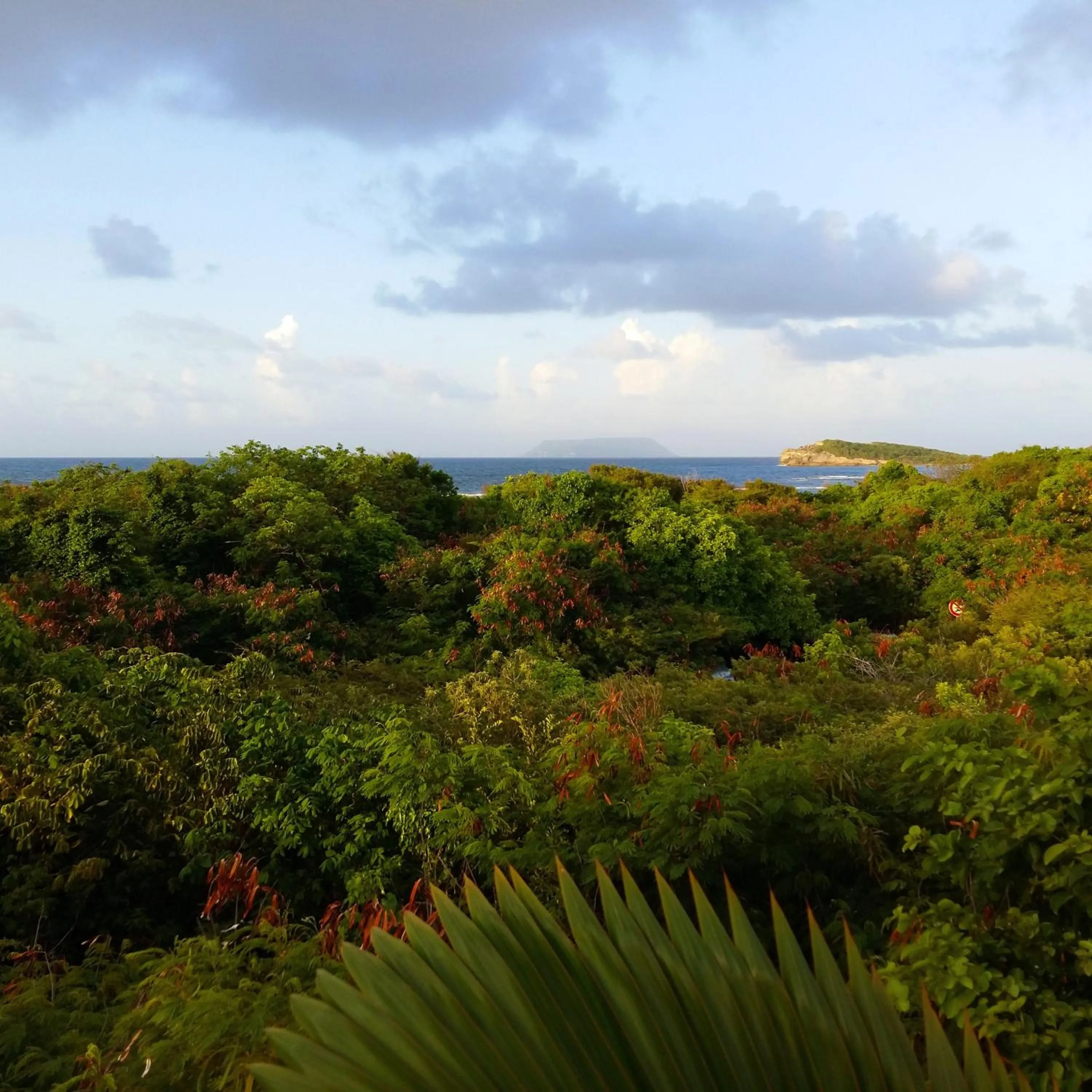 Natural landscape in Villa Tarare