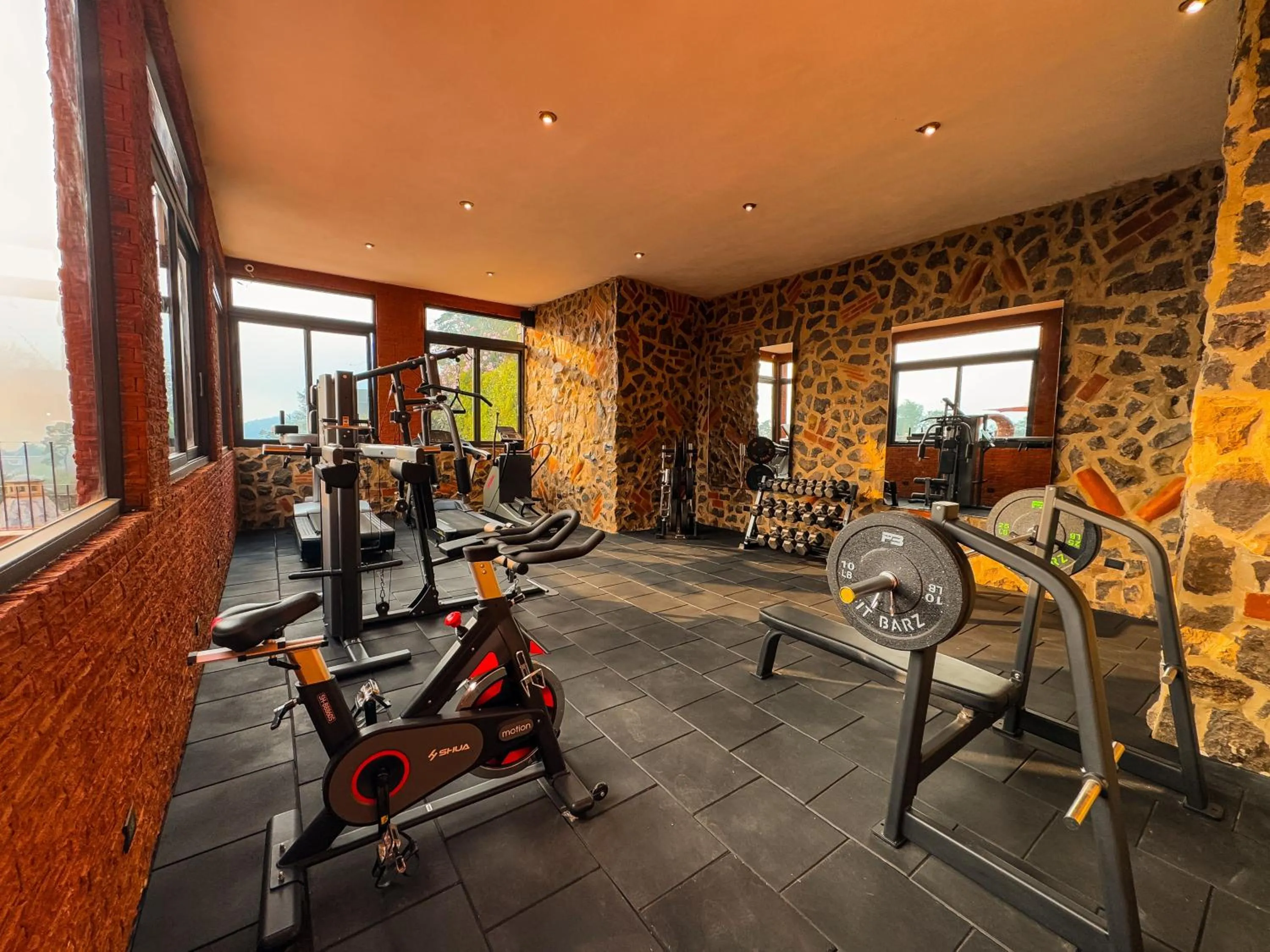 Fitness centre/facilities in Le Suisse Spa