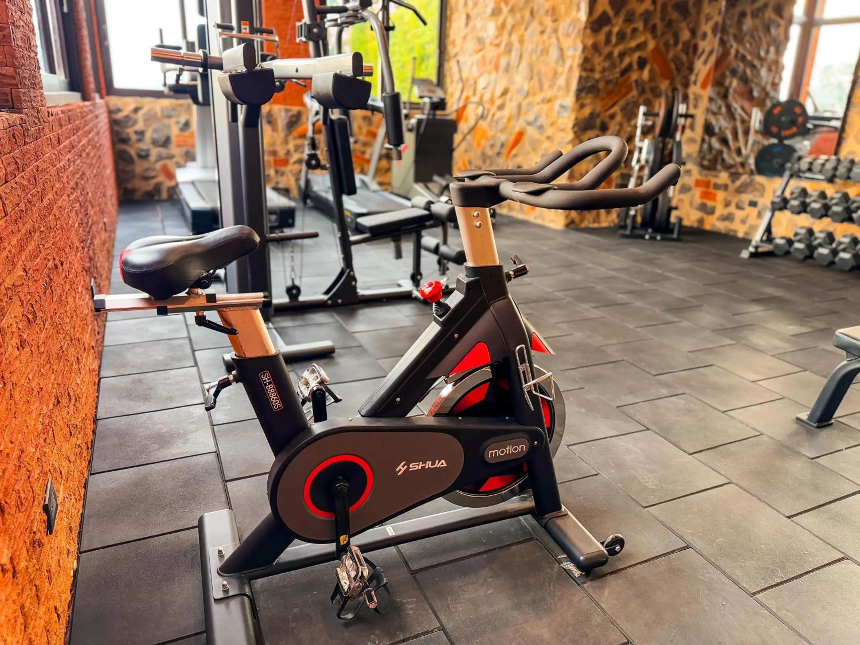 Fitness centre/facilities in Le Suisse Spa