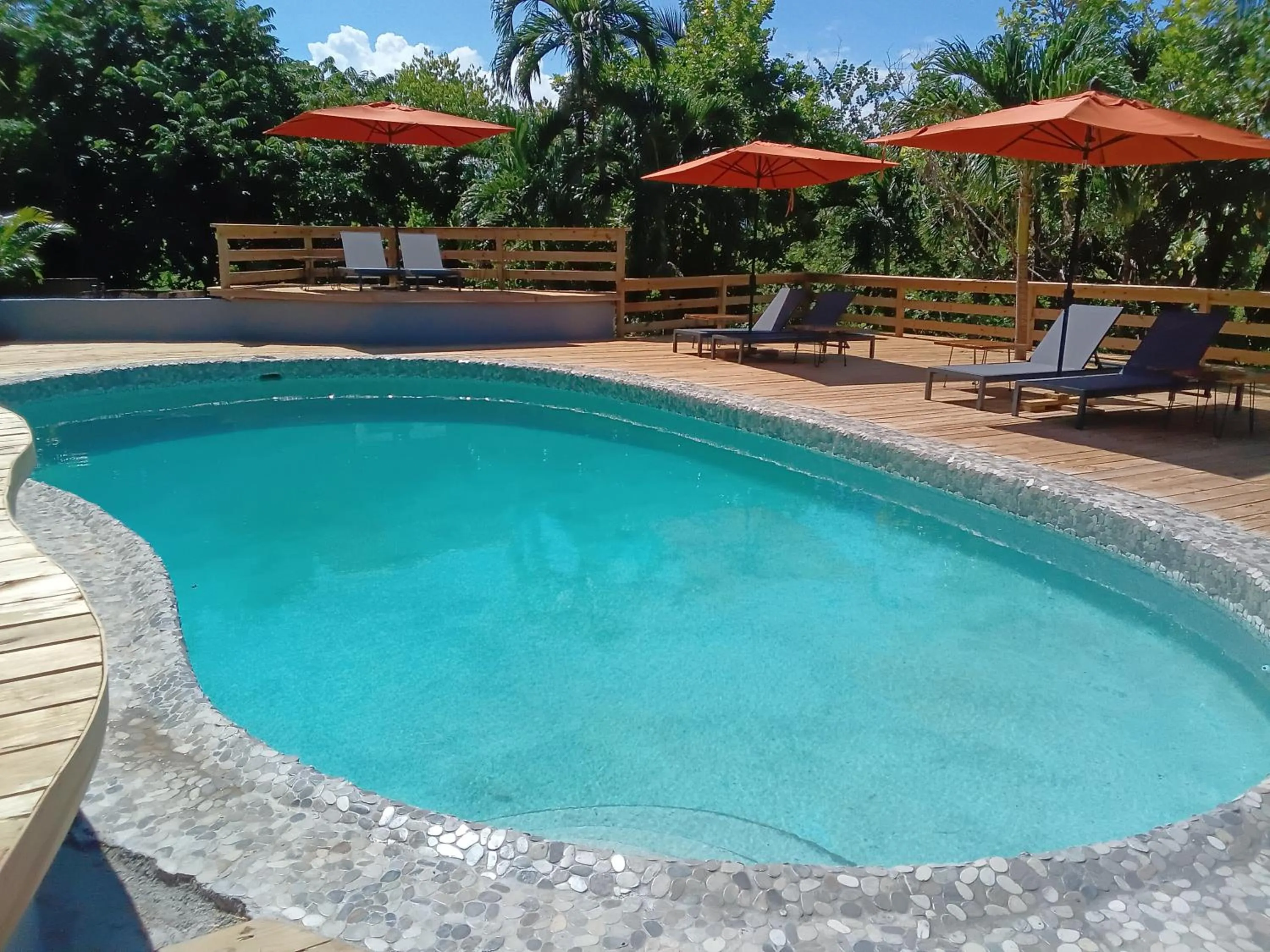 Pool view in LF Jungle Retreat