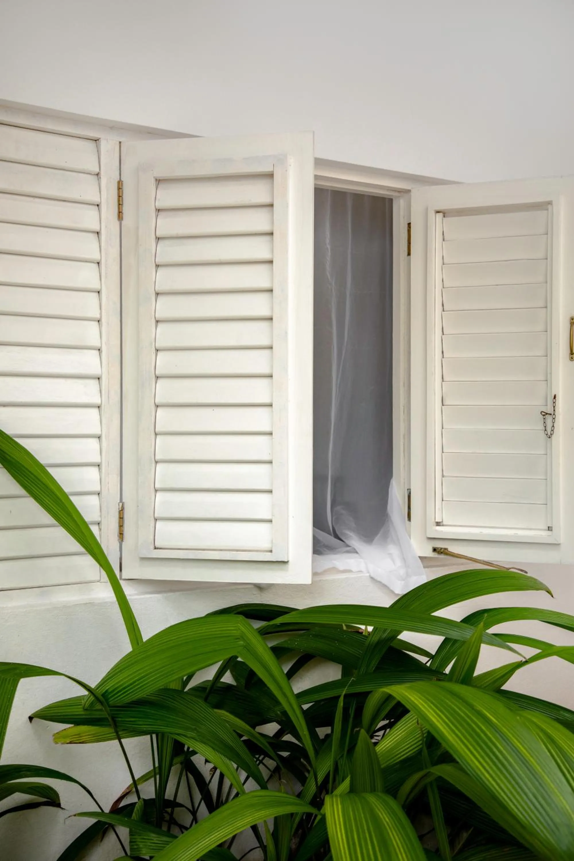 Property building in LF Jungle Retreat