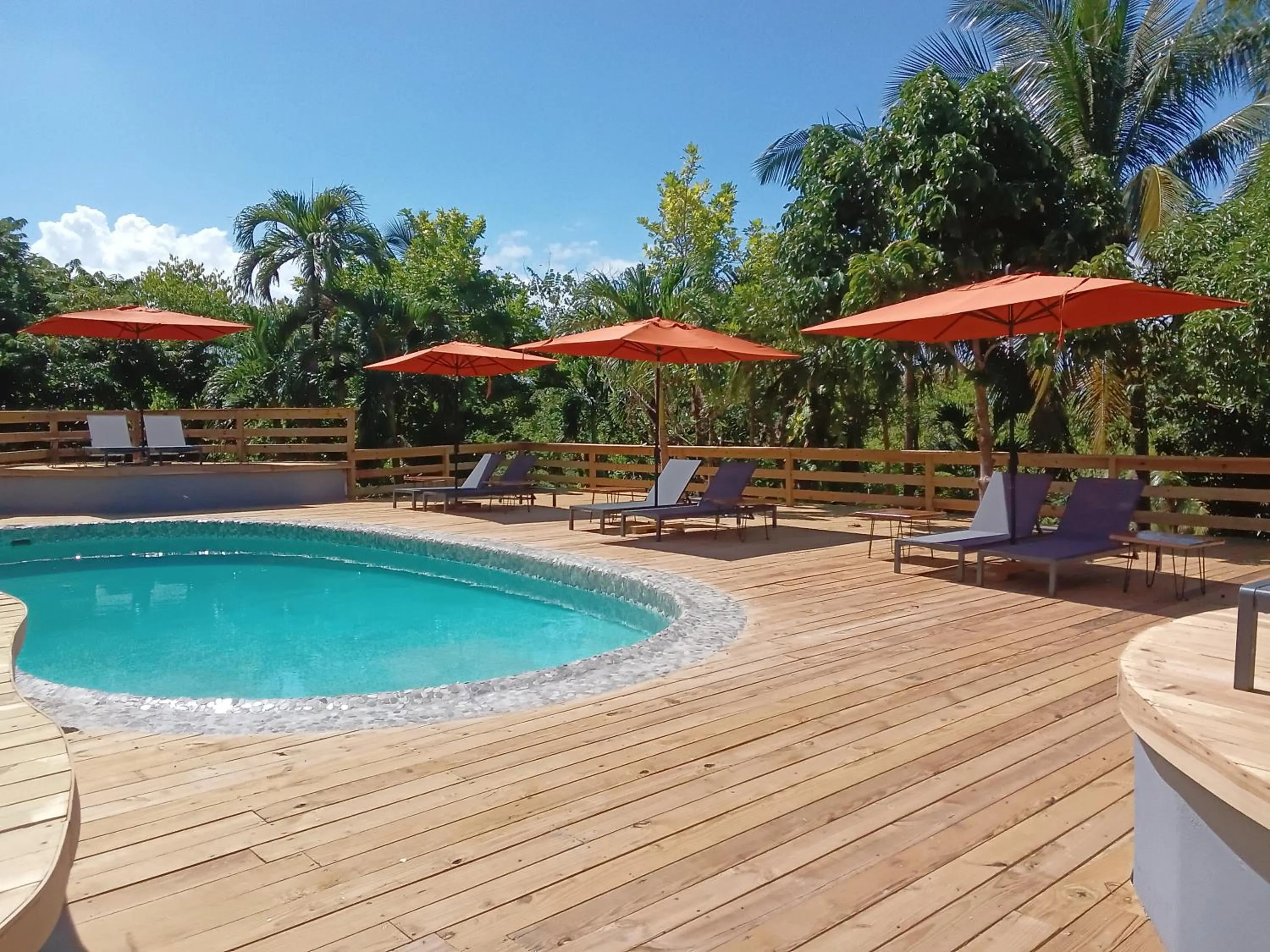 Swimming pool in LF Jungle Retreat