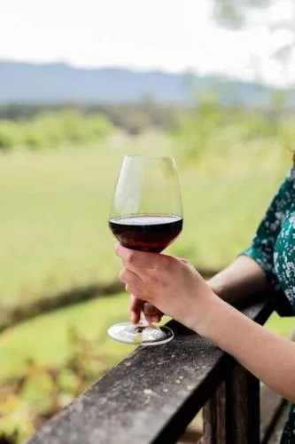 Mt Buffalo View Apartment