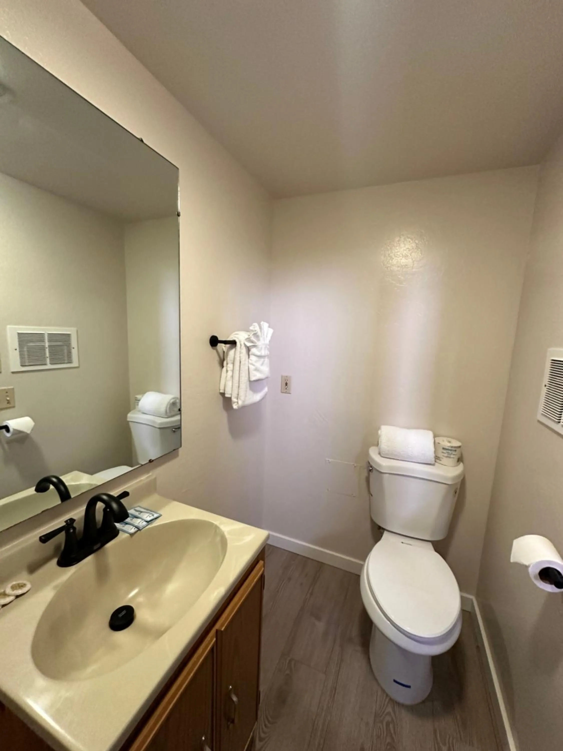 Bathroom in Lee Vining Motel