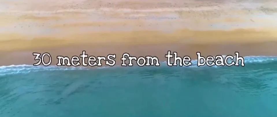 Micky Monkey Beach Hotel Phuket Maikhao Thailand