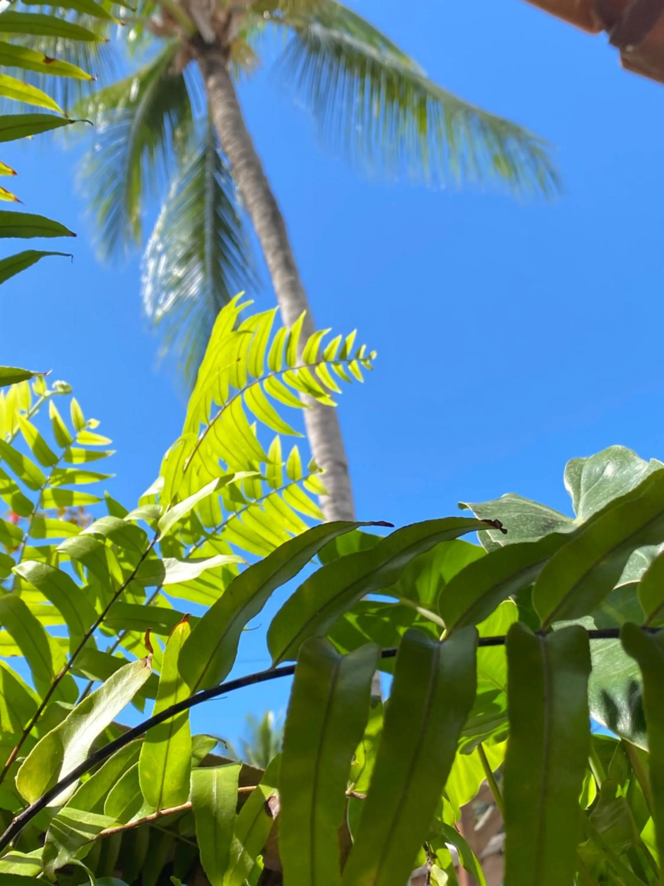 Pousada Arraial Suites