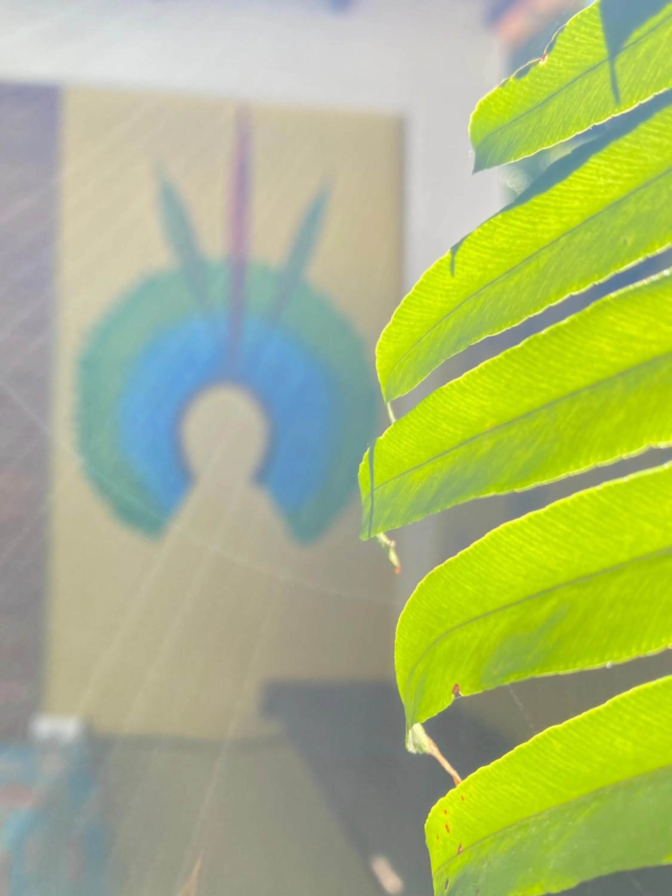 Pousada Arraial Suites