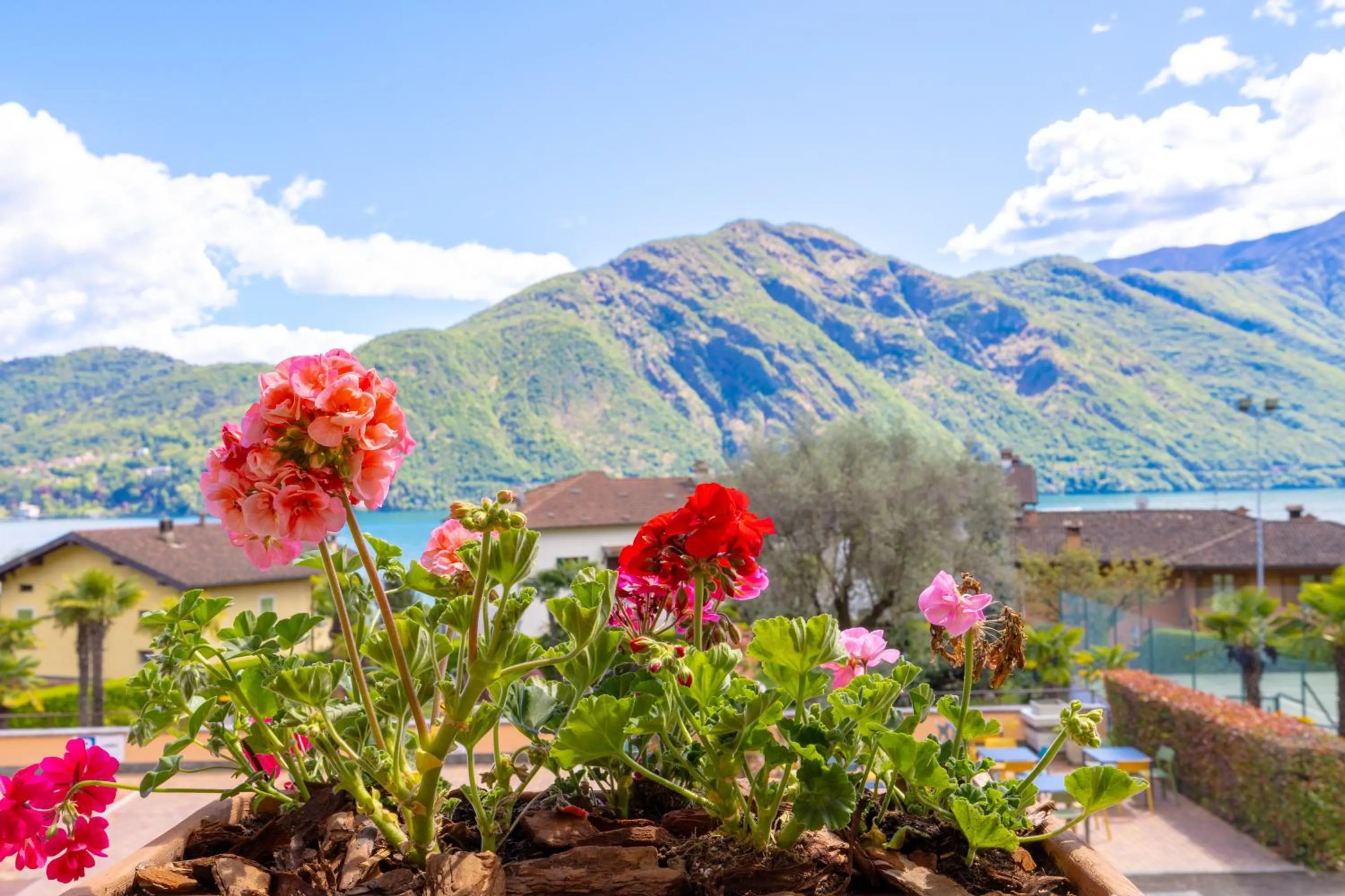 Lake view in Albergo Villa Edy