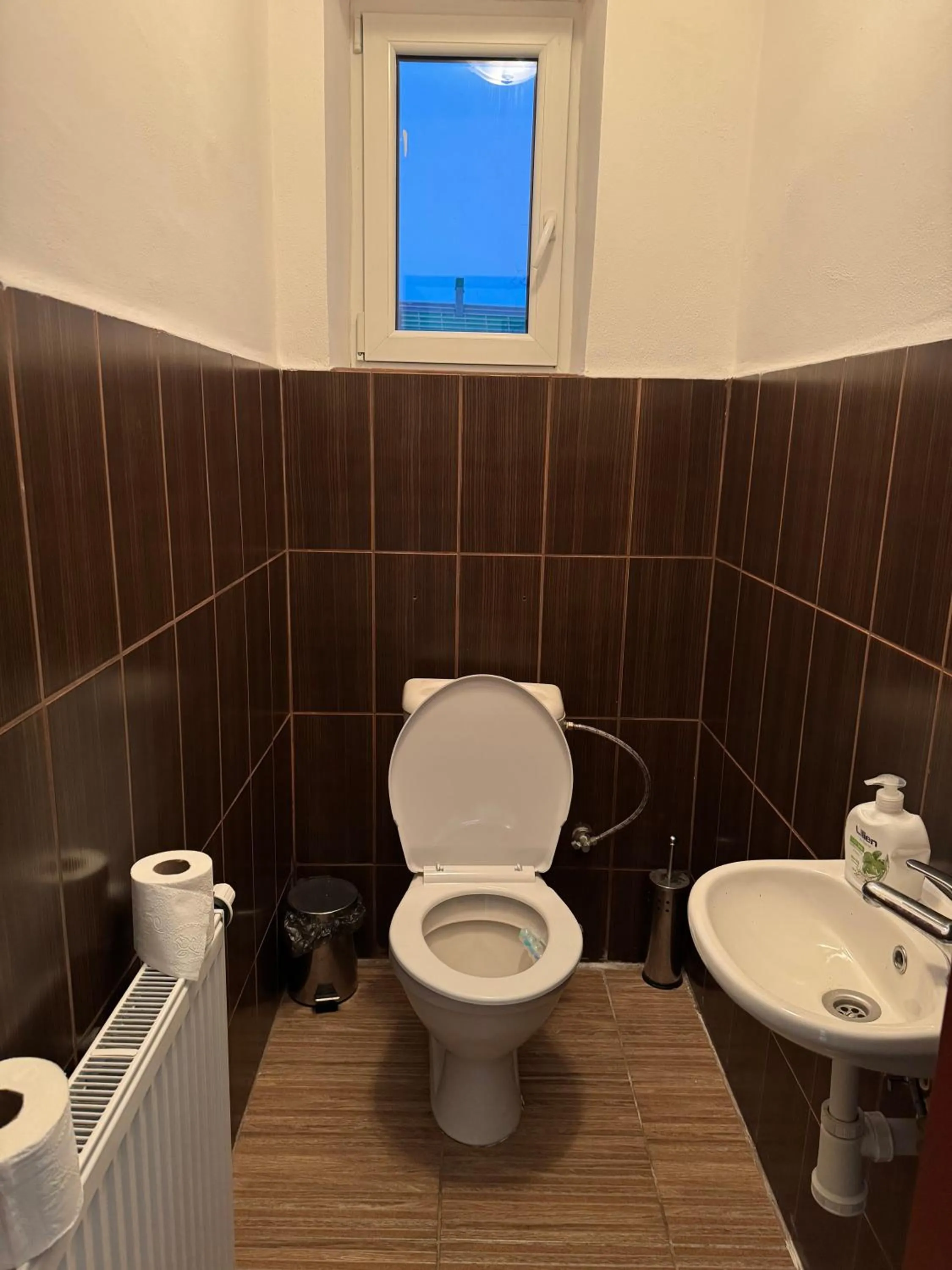 Penzion u dobrého lva