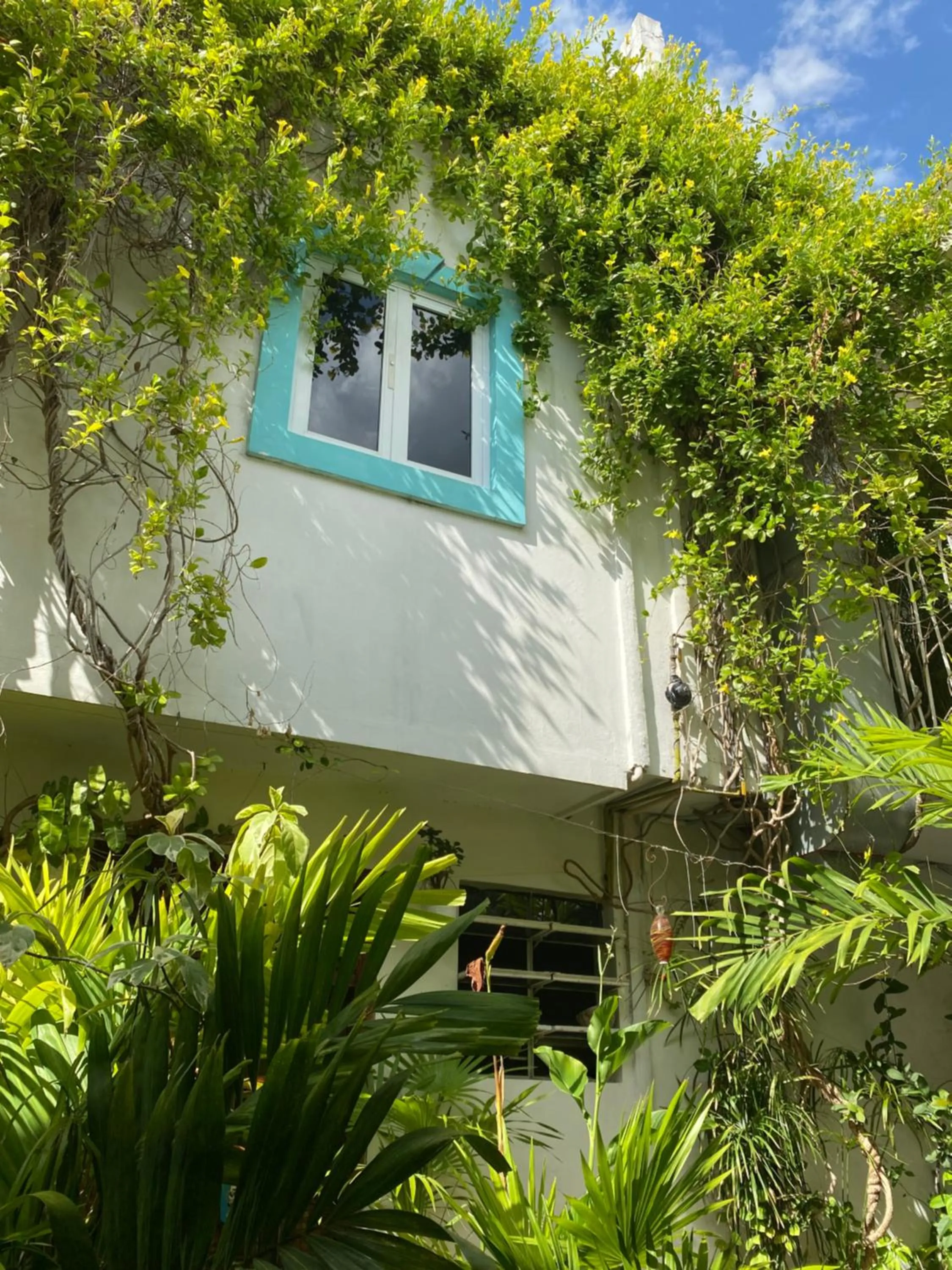 Patio in Hotel La Piazzetta