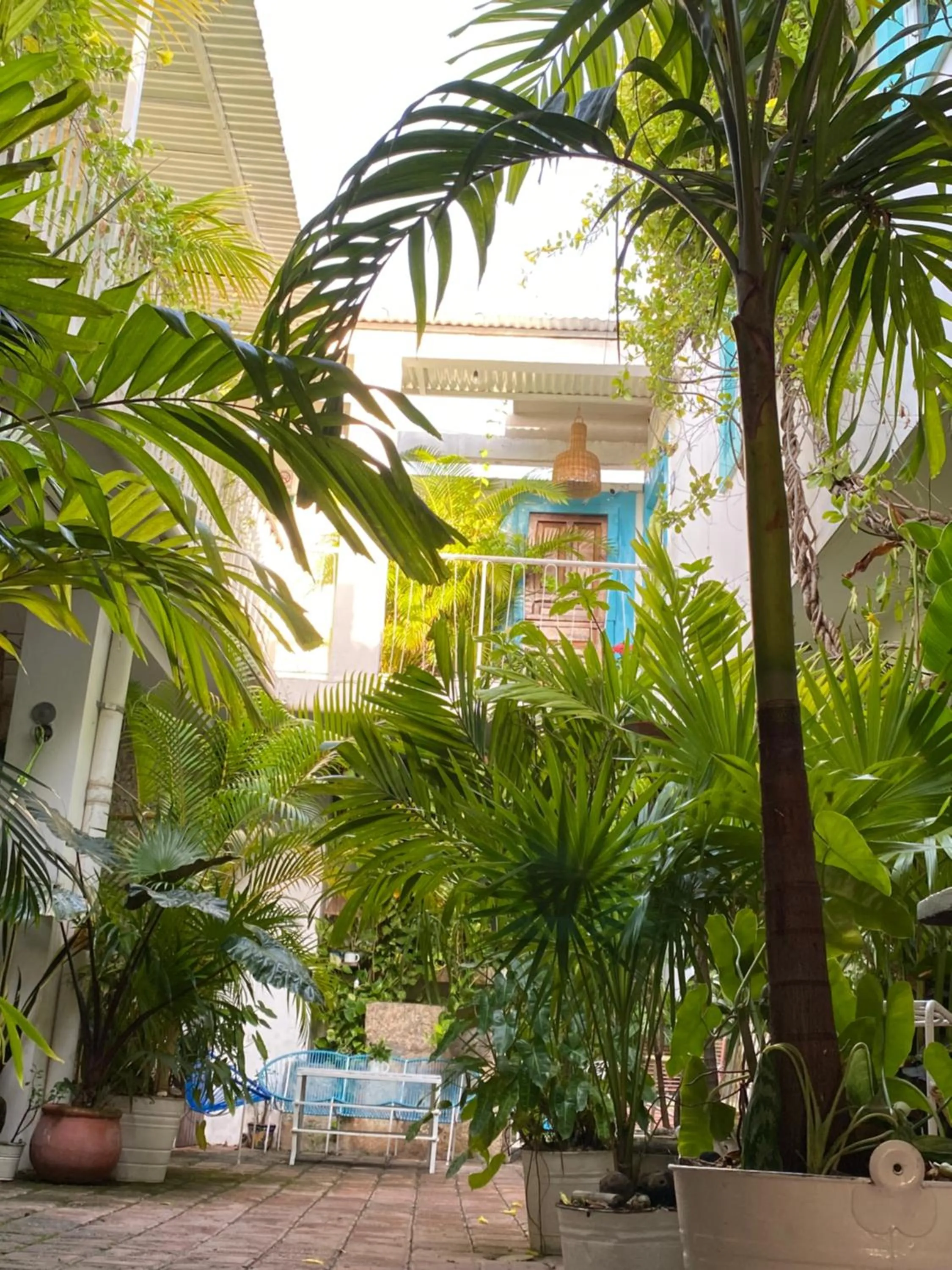 Patio in Hotel La Piazzetta
