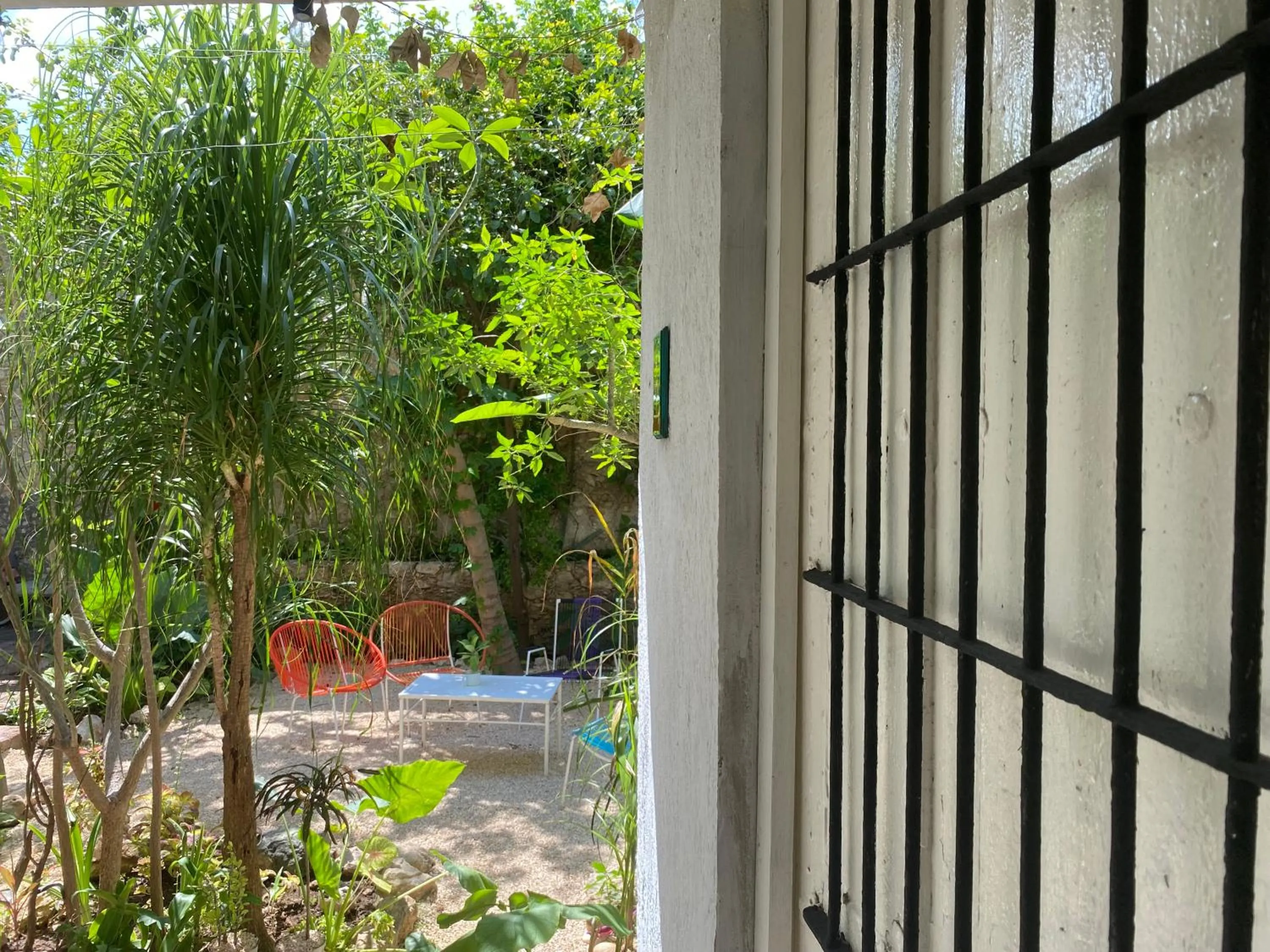 Garden in Hotel La Piazzetta