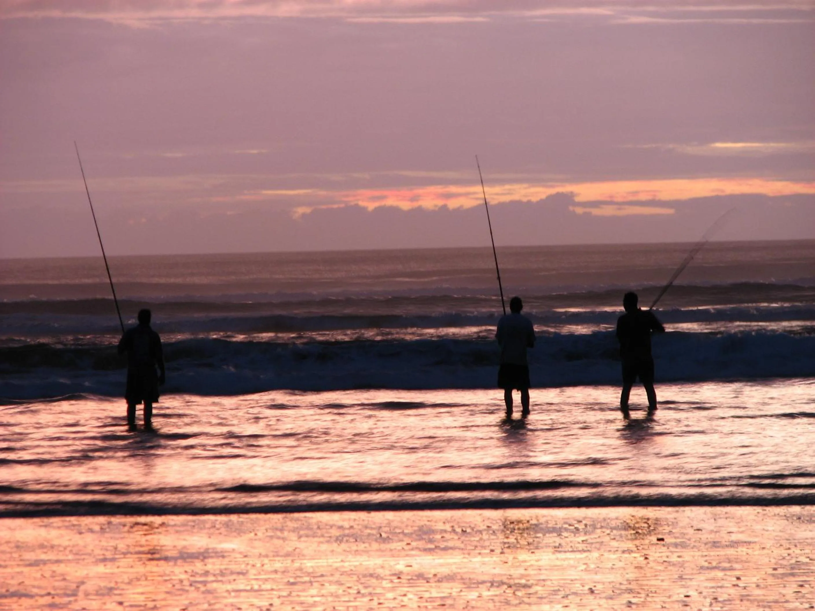 Area and facilities in Pukenui Lodge Motel