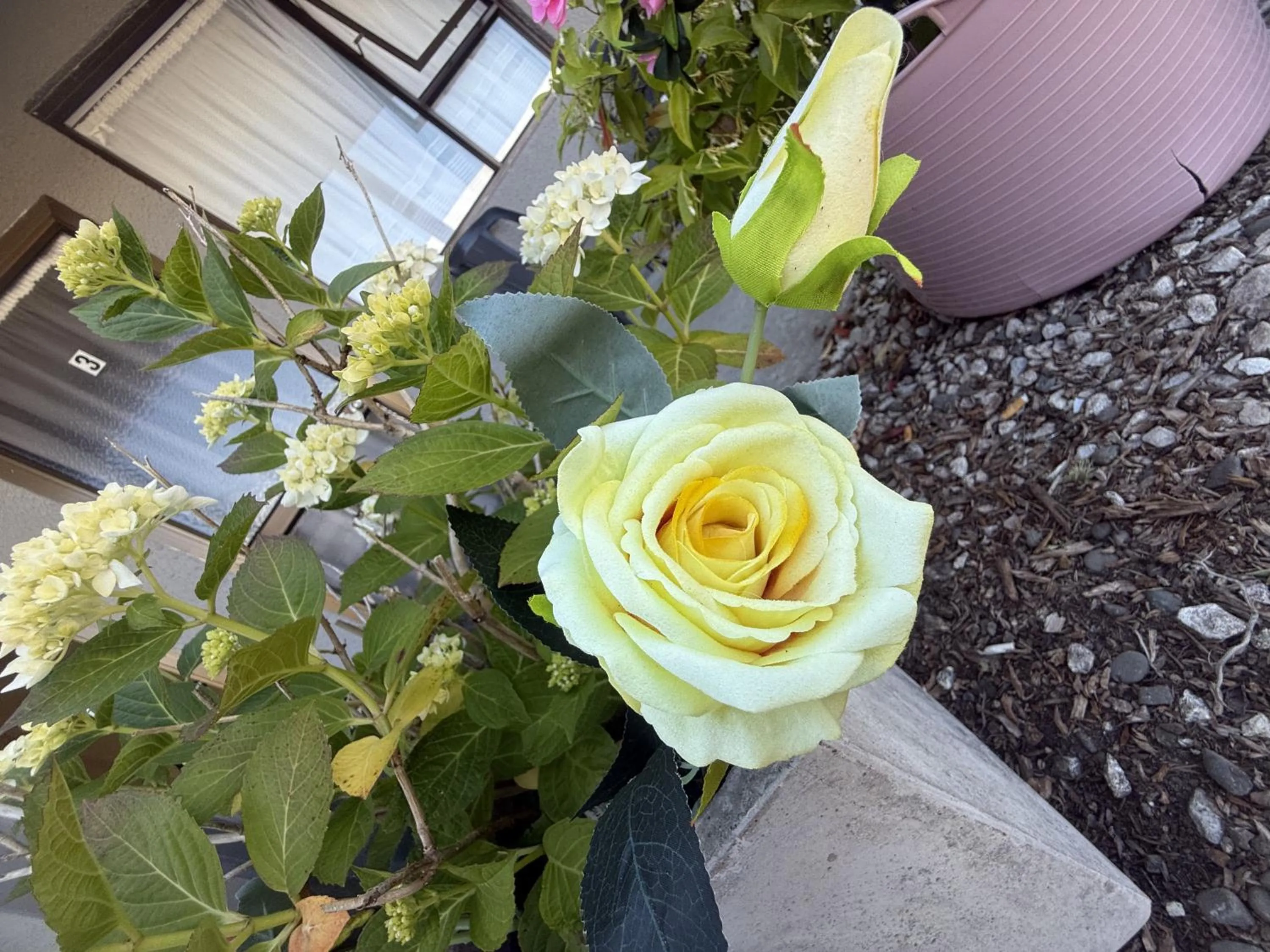 Garden view in Cortez Motel