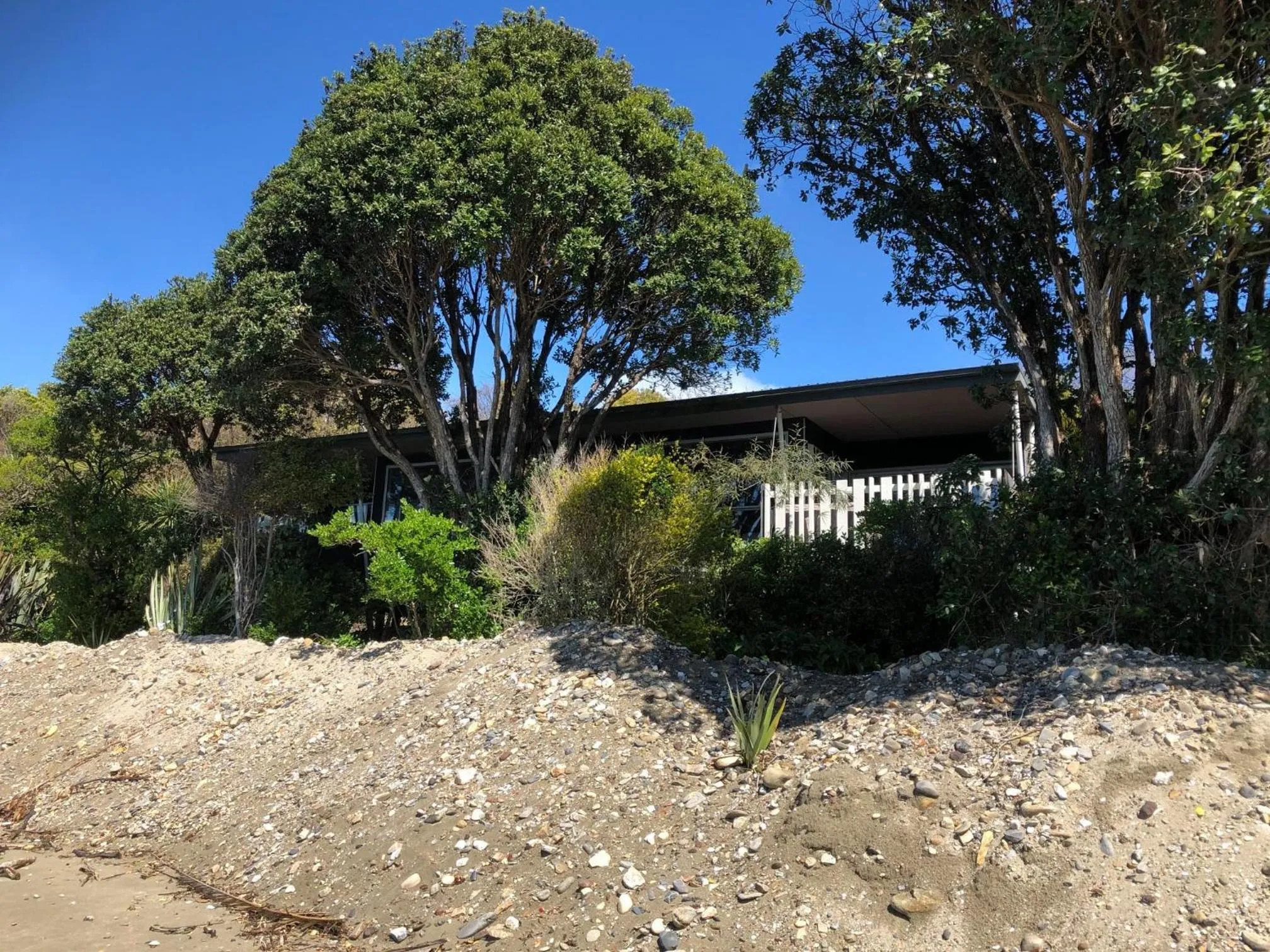 Natural landscape in Golden Bay Holiday Park