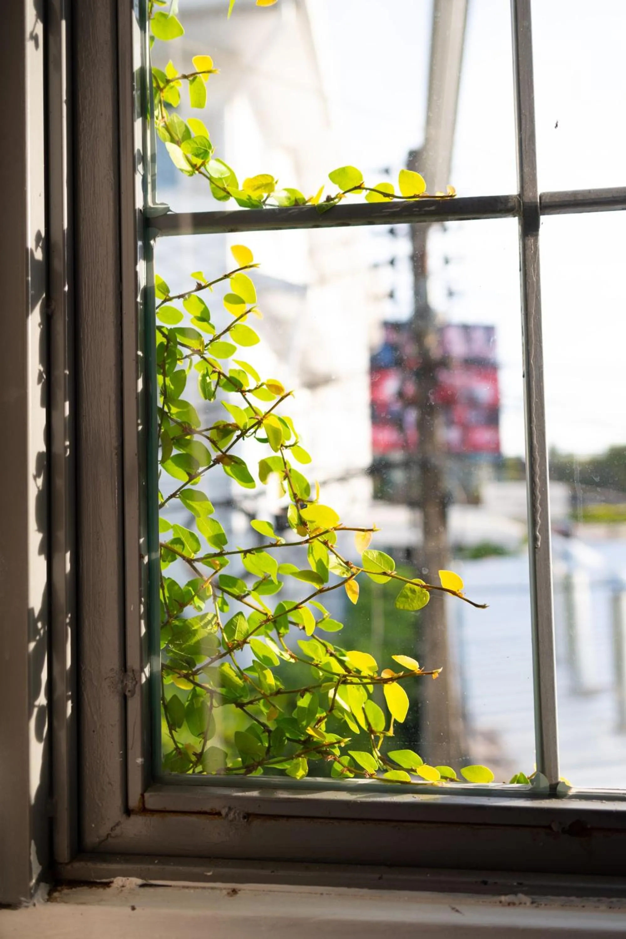 Balcony/Terrace in Oon Poshtel x Cafe