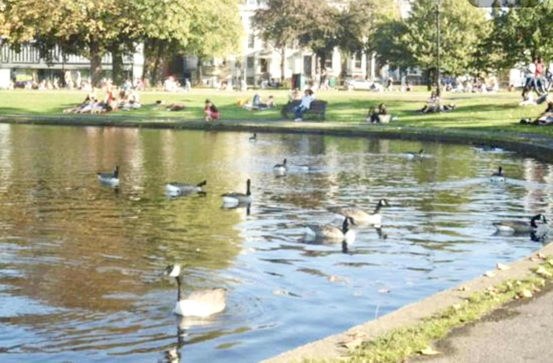 Clapham 3-Bed Flat Sleeps 6 with Free Parking