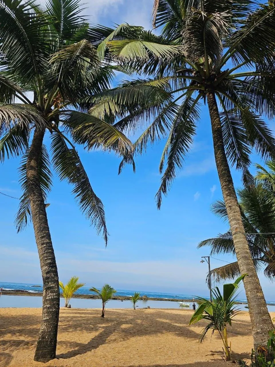 Paradise Bay