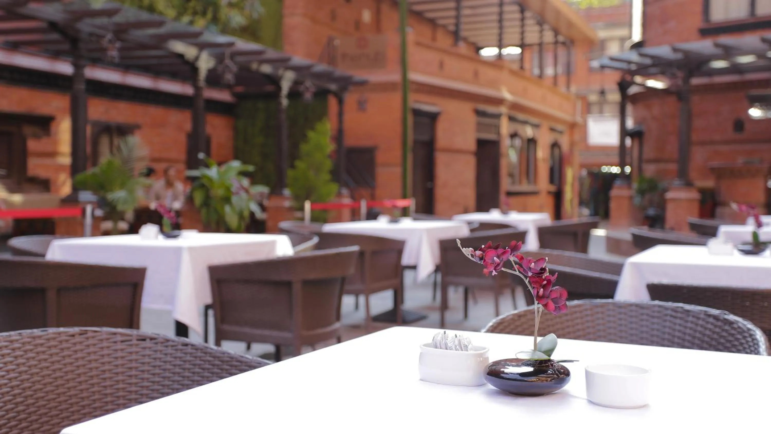 Restaurant/places to eat in Dalai-La Boutique Hotel