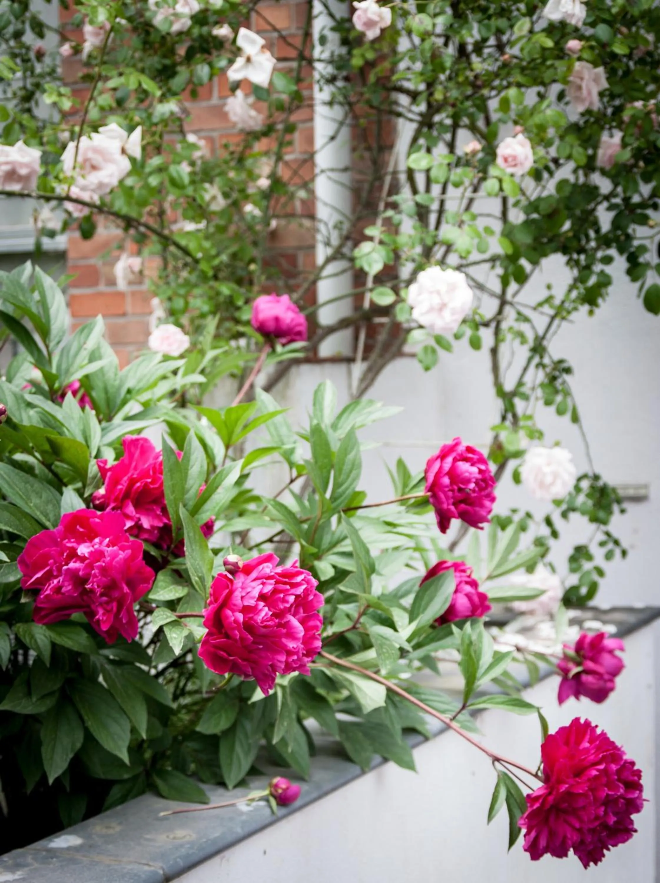 Facade/entrance in B&B Moensberg