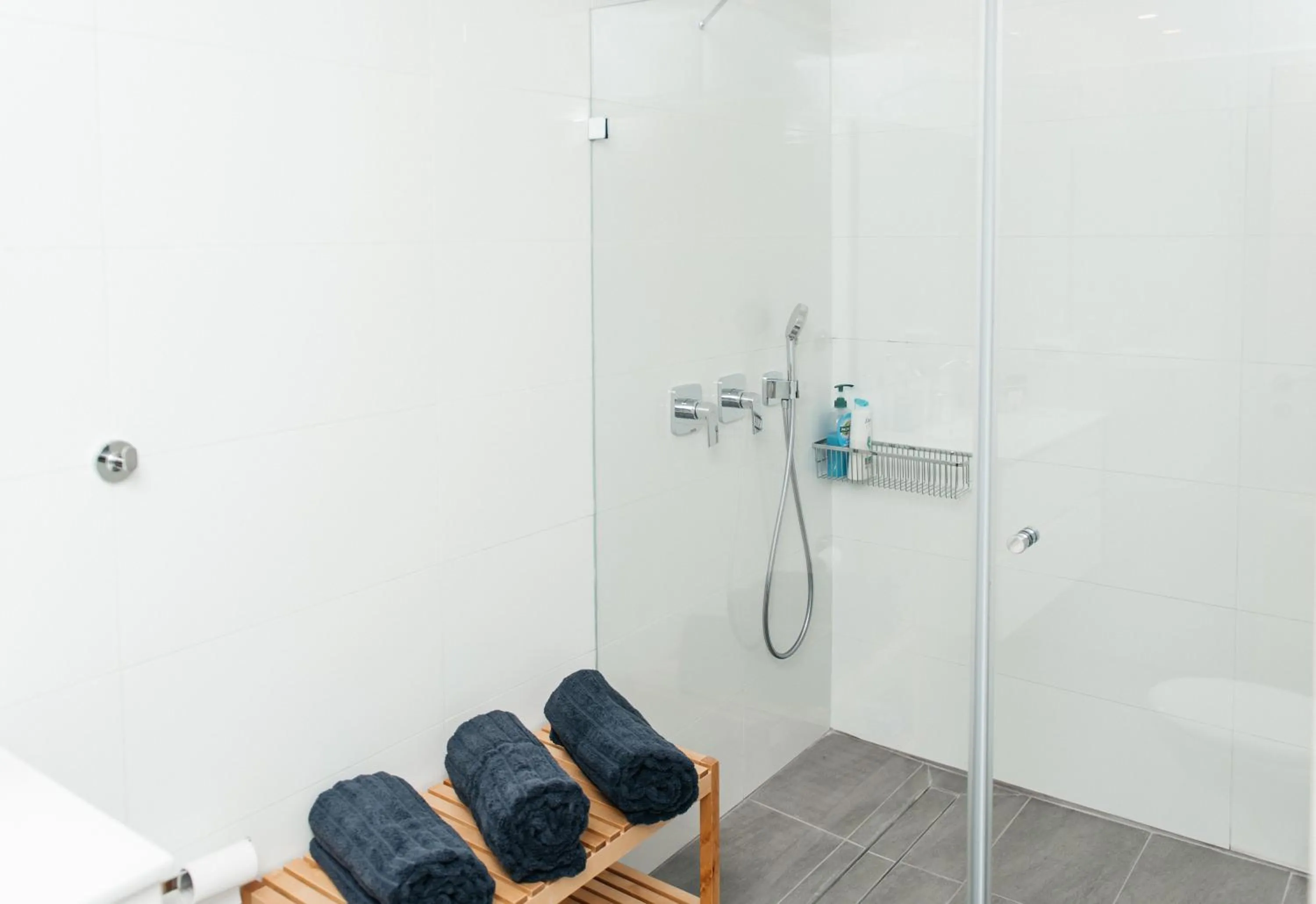 Wallenberg Oasis Apartments Haifa